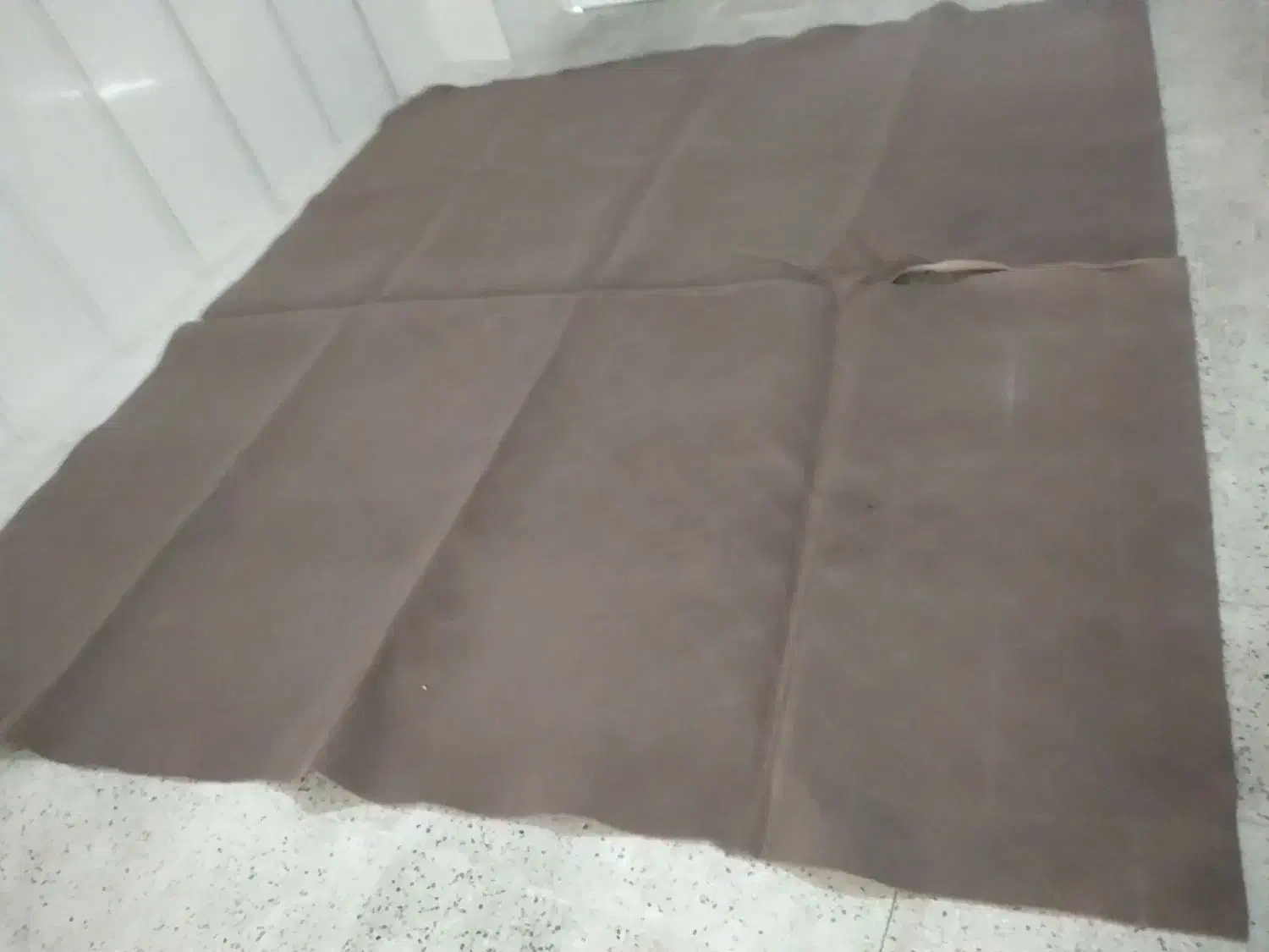 موکت کرم رنگ متری۵۰|موکت|قزوین, |دیوار