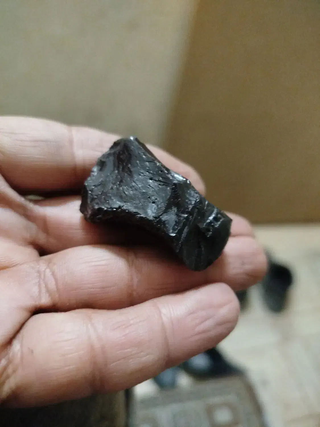 شهاب سنگ|کلکسیون اشیاء عتیقه|اصفهان, بوستان ناژوان|دیوار