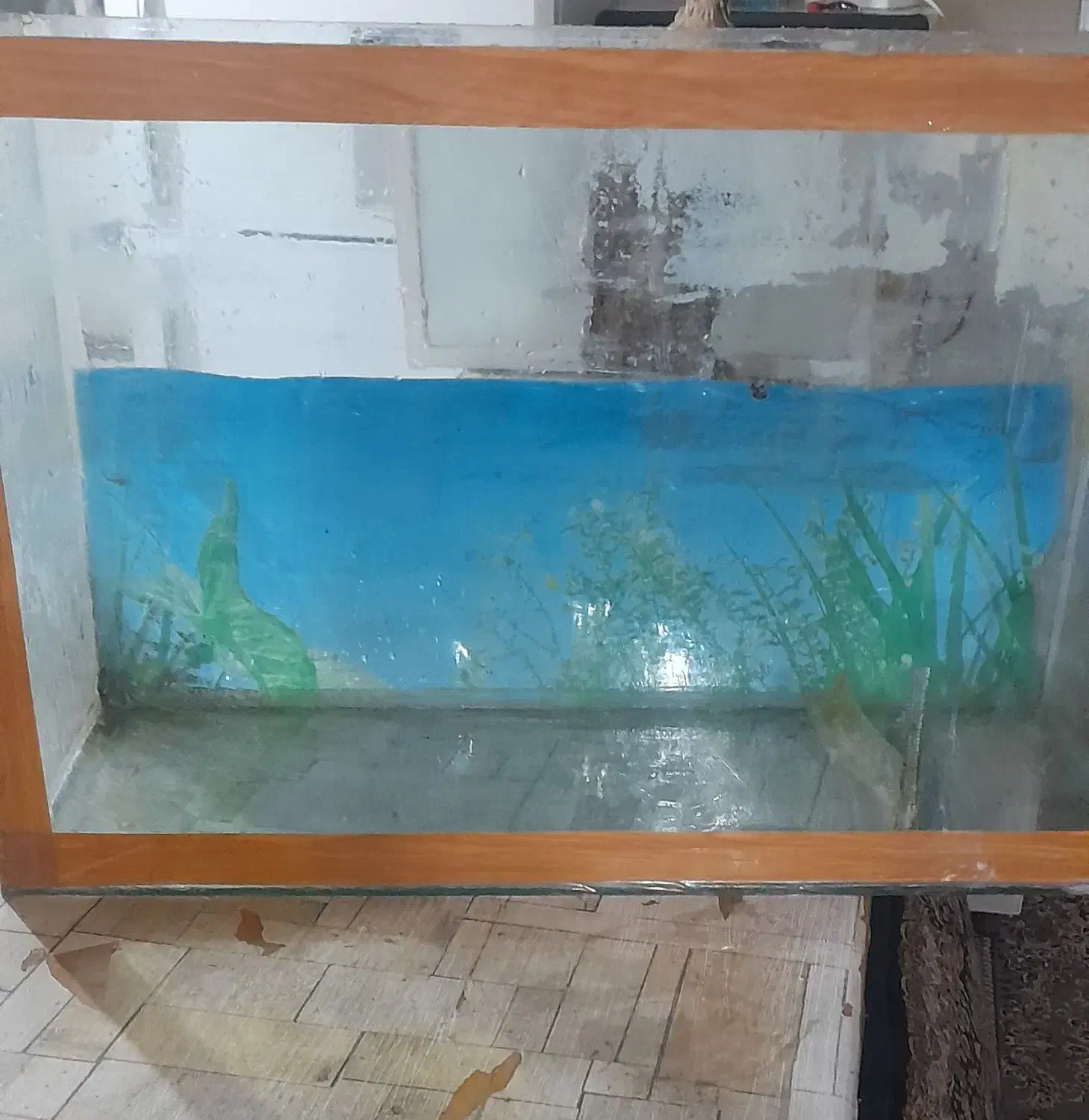 اکواریوم سالم معاوضه با پرنده|ماهی|تربت‌حیدریه, کلاته توکلی|دیوار