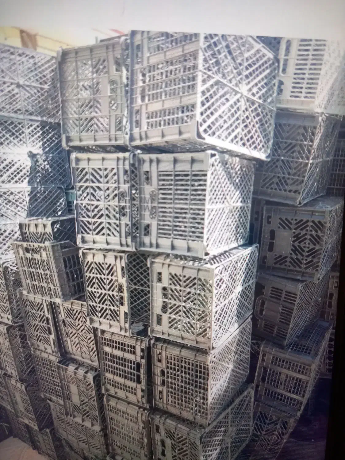 انواع سبد|عمدهفروشی|دالاهو, |دیوار