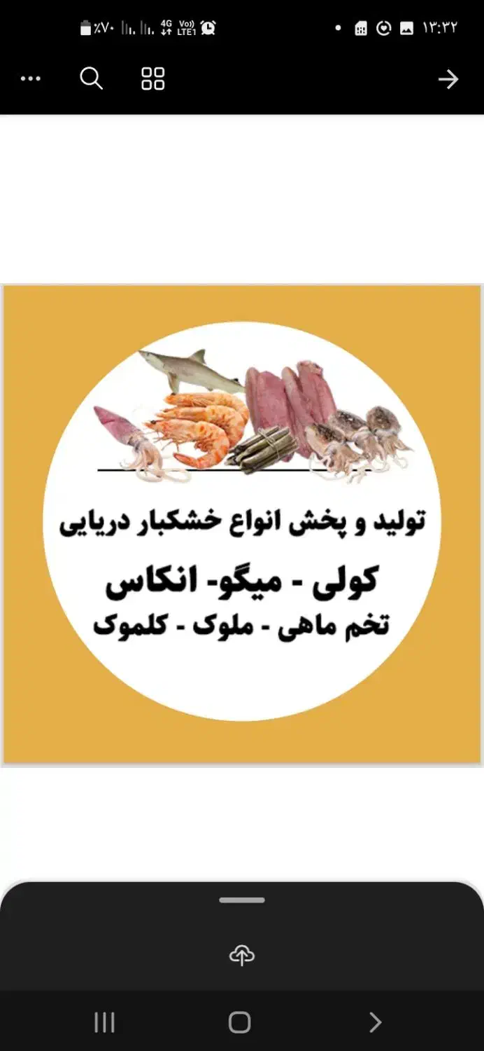 فروش انواع خشکبار صید دریا|خوردنی و آشامیدنی|قشم, |دیوار