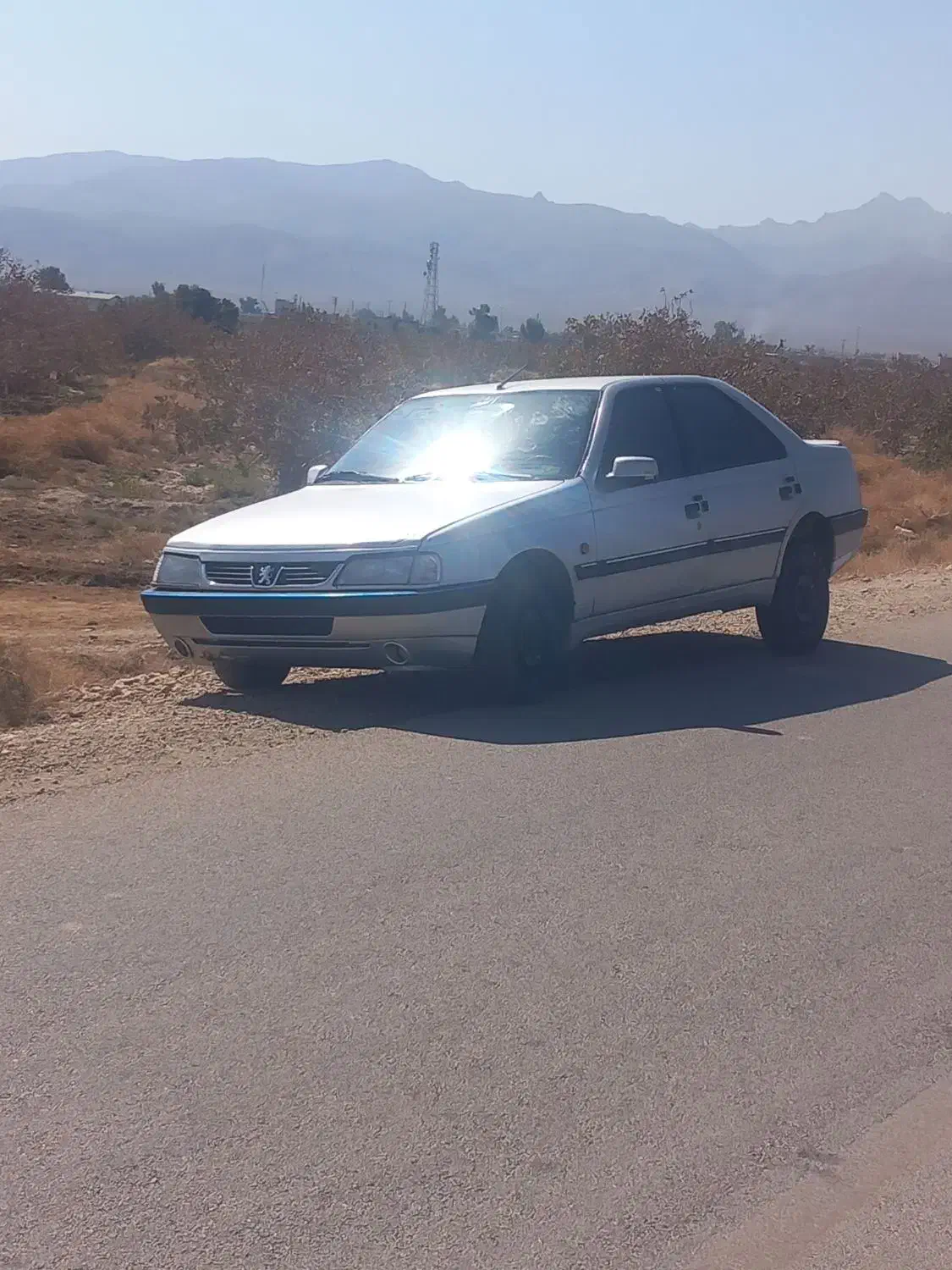 405|خودرو سواری و وانت|نی‌ریز, |دیوار