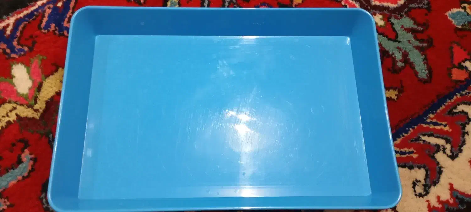 سینی پلاستیک|ظروف نگهدارنده، پلاستیکی، یکبارمصرف|باسمنج, |دیوار