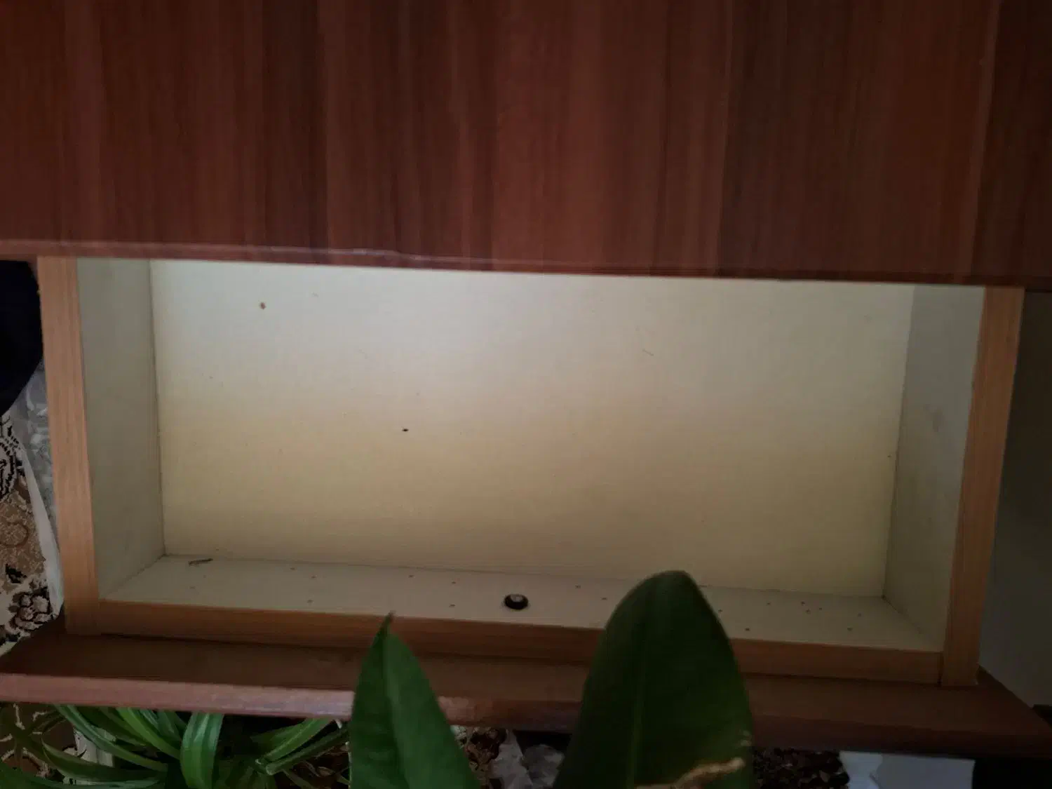 جلو مبلی و میزتلویزیون|میز تلویزیون|شهرکرد, |دیوار