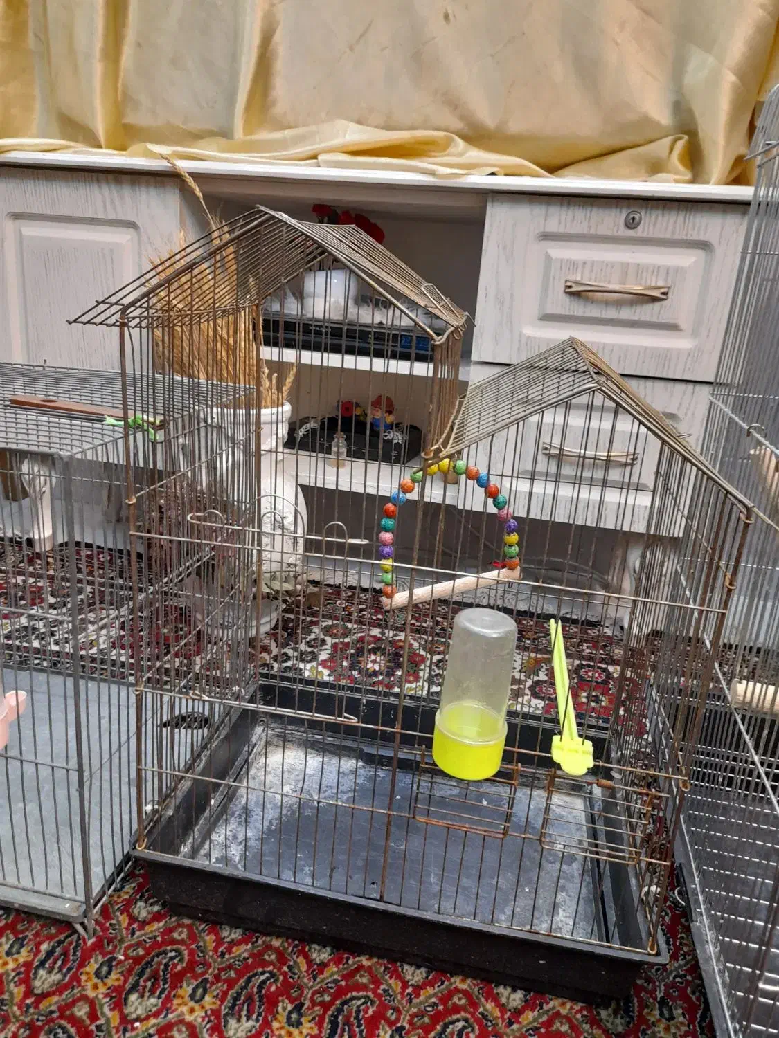 قفس پرنده|لوازم جانبی حیوانات|مشهد, محمدآباد|دیوار