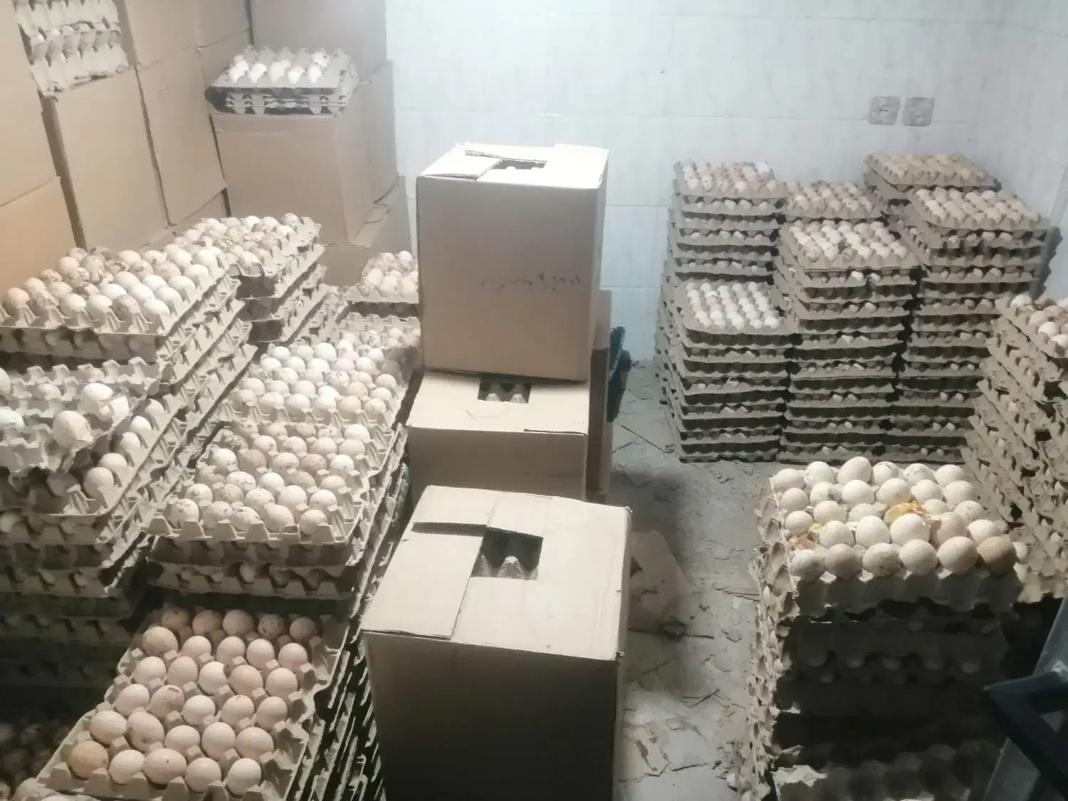 تخم مرغ محلی|خوردنی و آشامیدنی|ارومیه, |دیوار