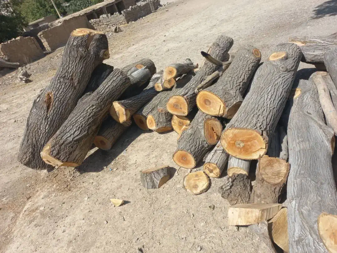 خرید چوب|خدمات باغبانی و درختکاری|یاسوج, |دیوار