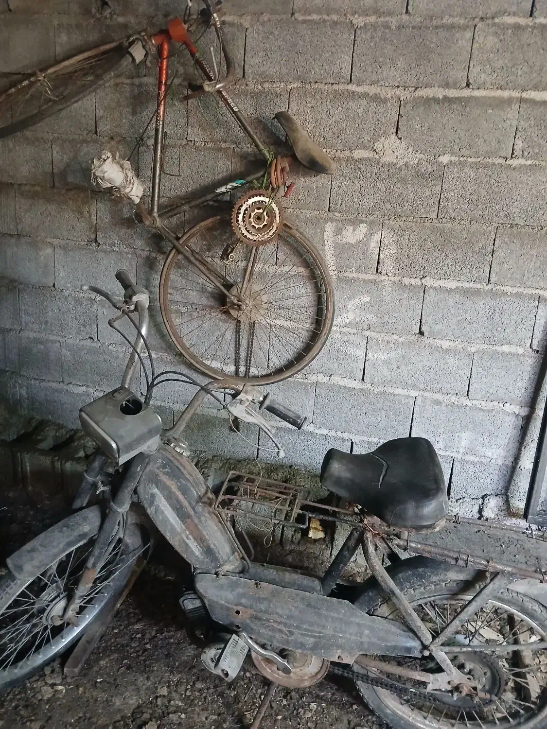دو عدد موتور گازی یک عدد دوچرخه کرسی اصل|موتورسیکلت|رشت, پاستوریزه|دیوار