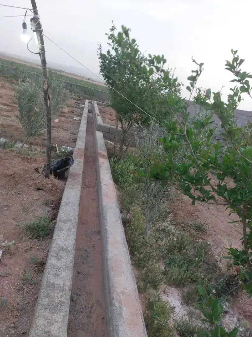 فروش باغ زراعی با درختان پسته و انار|فروش دفتر صنعتی، کشاورزی، تجاری|صفادشت, |دیوار