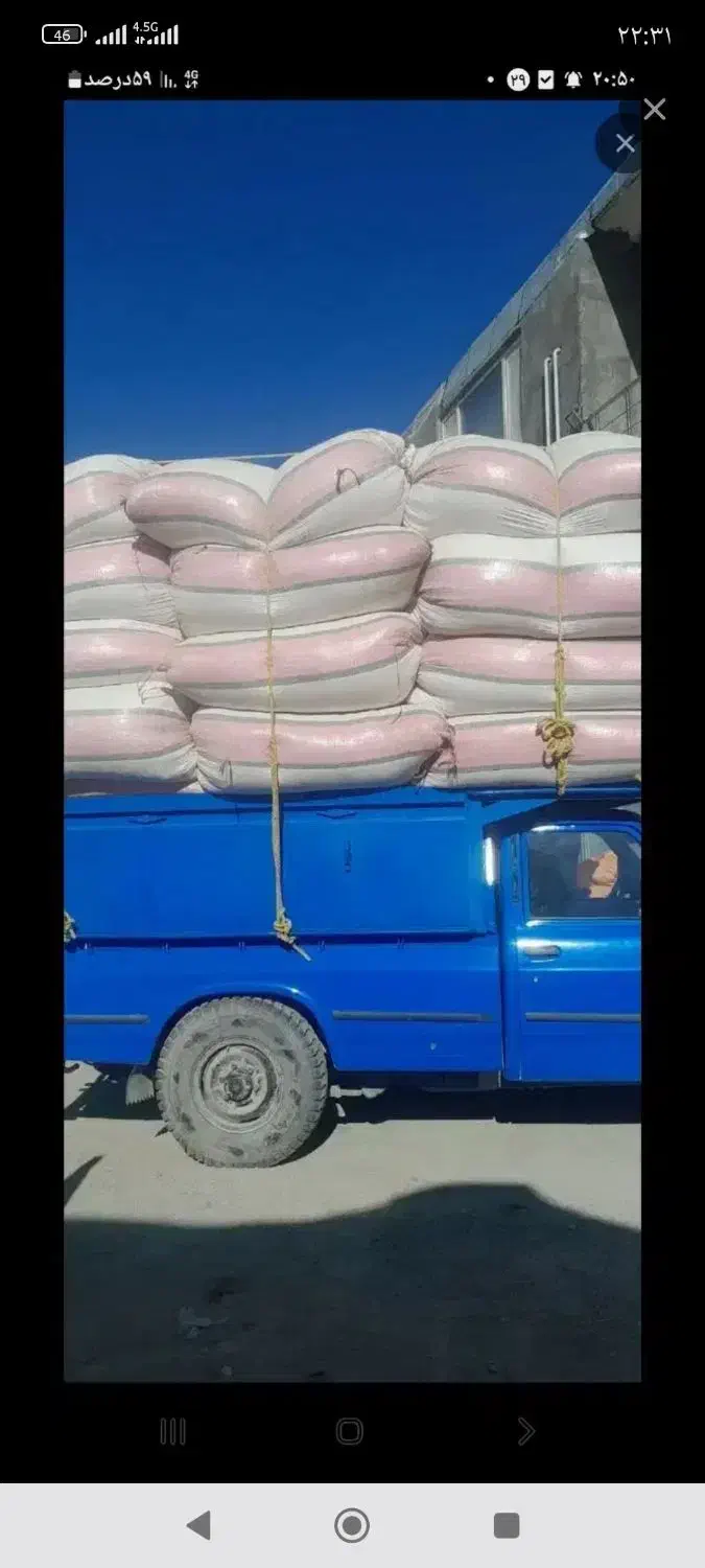 کاه|لوازم جانبی حیوانات|سردرود, |دیوار