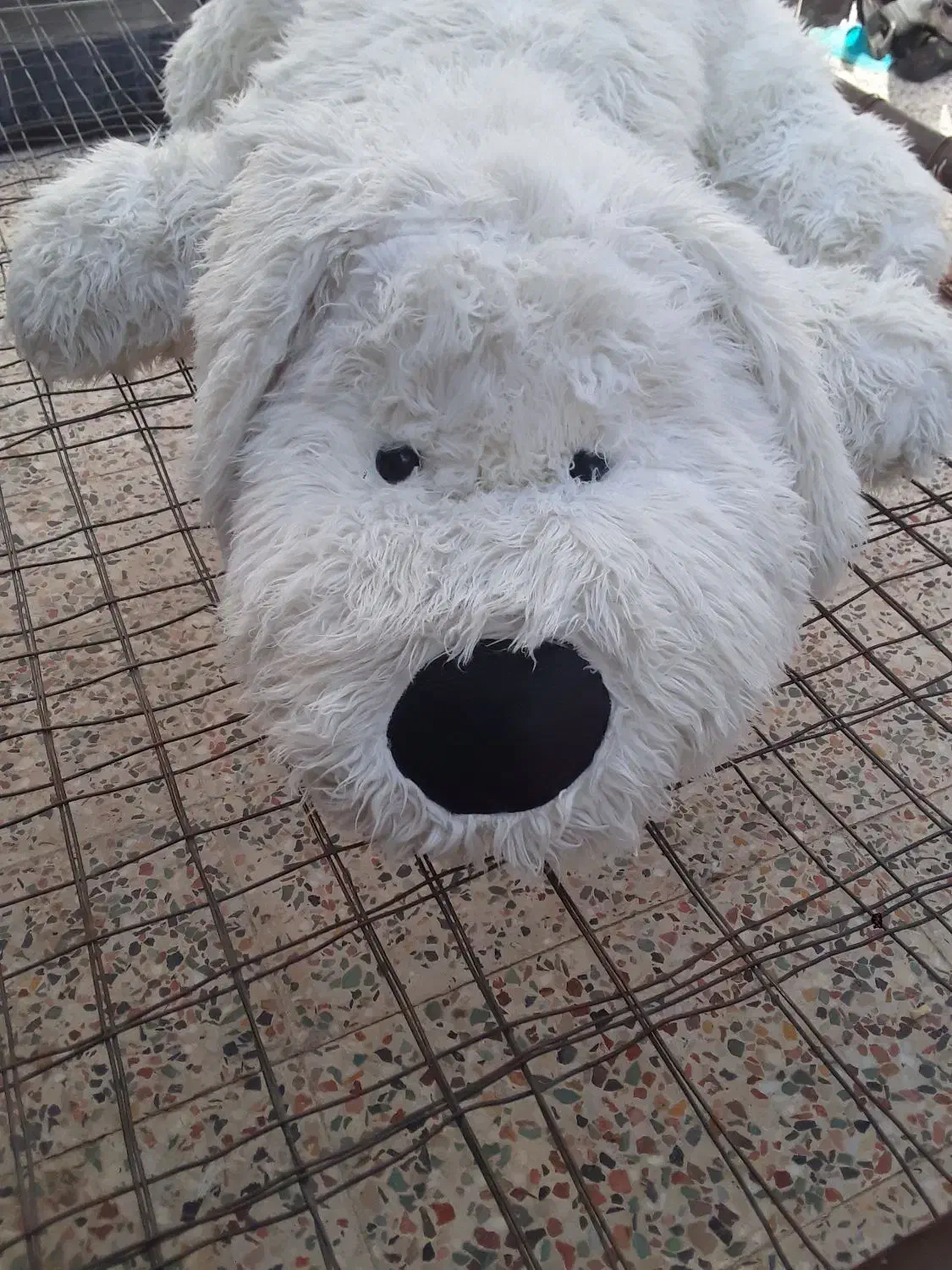 عروسک بزرگ|اسباب‌‌بازی|ایذه, |دیوار