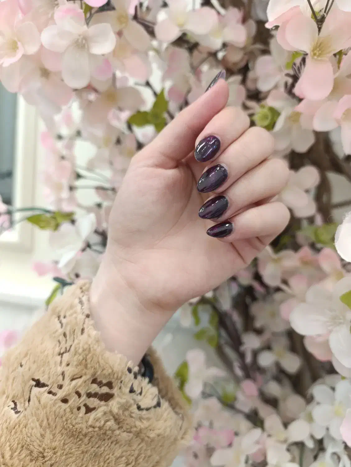 کاشت و ترمیم ناخن|خدمات آرایشگری و زیبایی|اردبیل, |دیوار