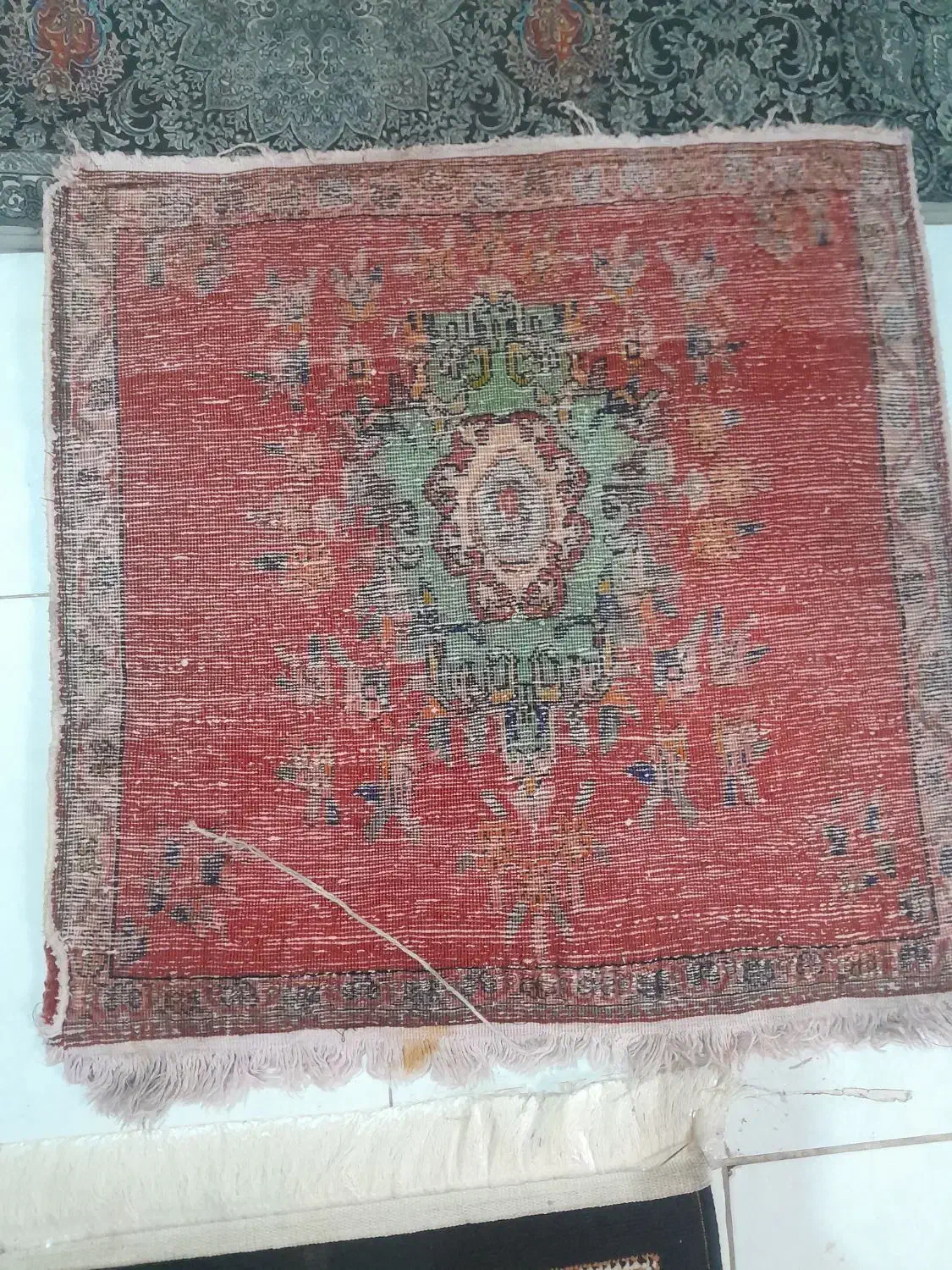 دیزی سفالی وگوشت کوب تبدیل تیمی این فرش دست باف|فرش|صدرا-فارس, باغشهر دادگستری قدیم|دیوار