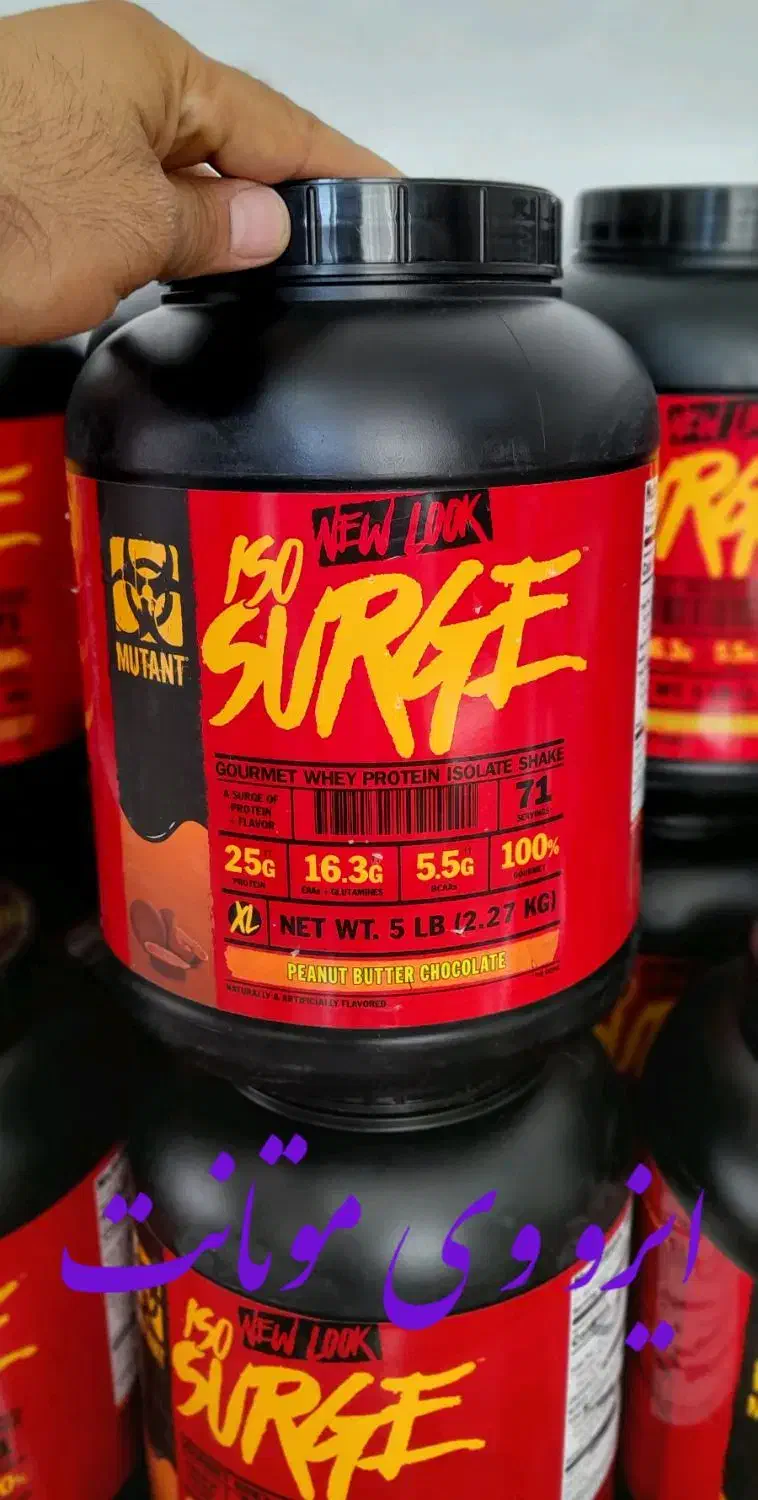 ورزشی و بدن سازی|تجهیزات ورزشی|دیواندره, |دیوار