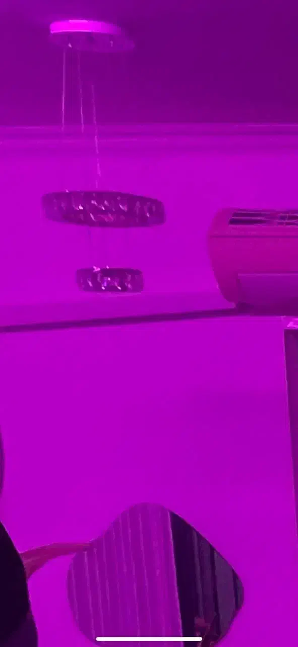 لوستر|لوستر و چراغ آویز|اسلام آباد, |دیوار