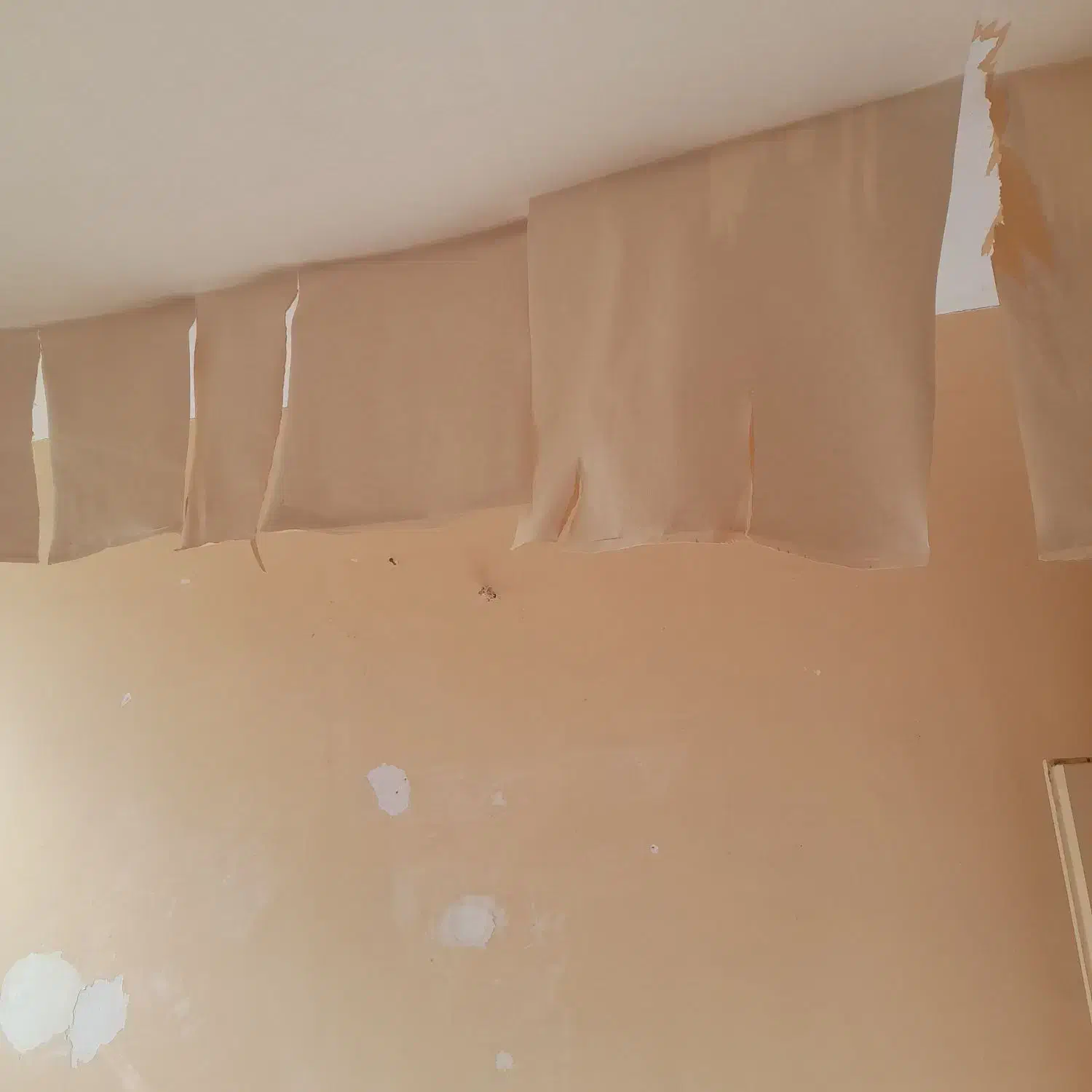 نقاشی ساختمان|خدمات پیشه و مهارت|شازند, |دیوار