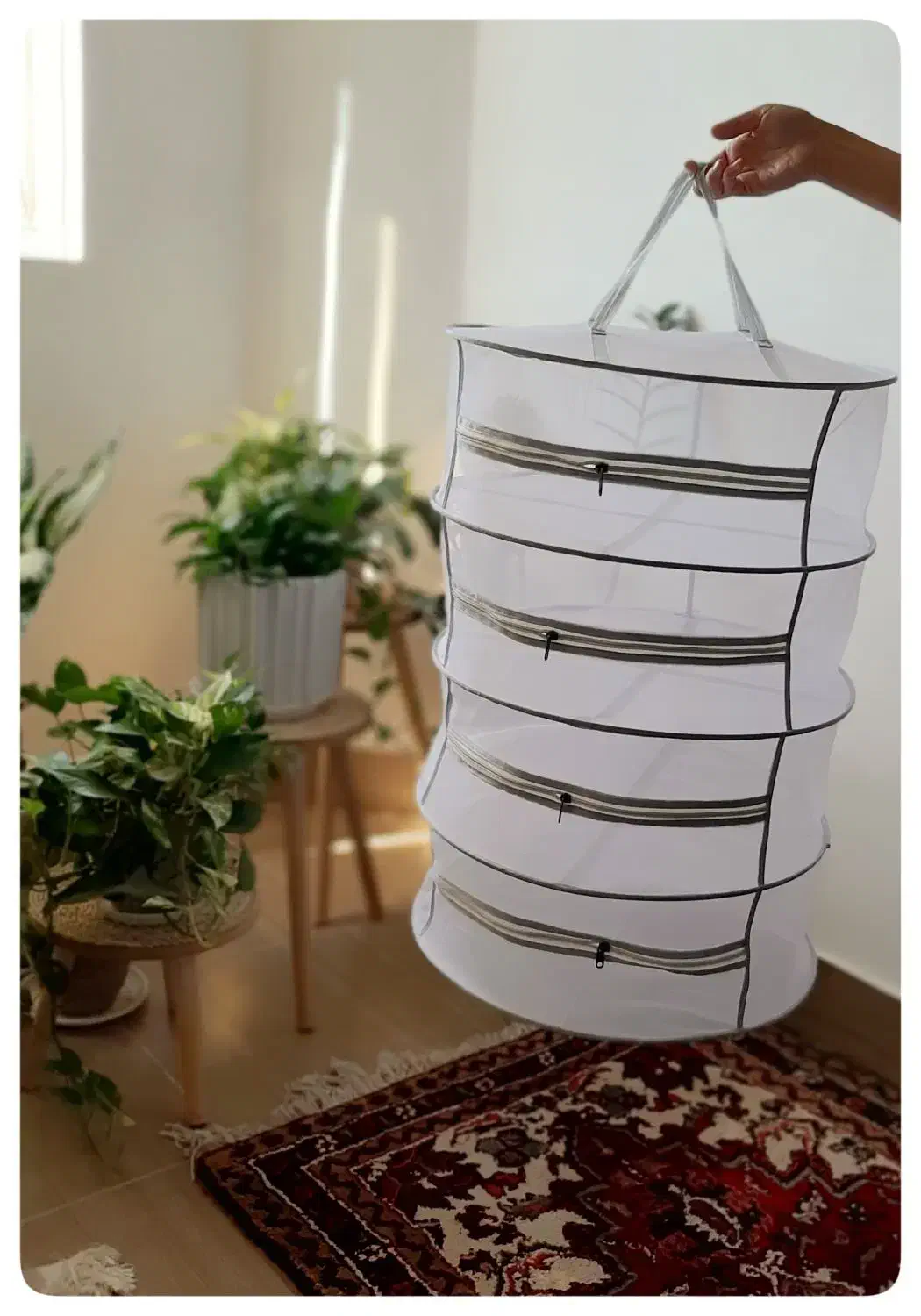 توری میوه خشک کن|سایر لوازم برقی|تربتحیدریه, شهرک ولیعصر|دیوار