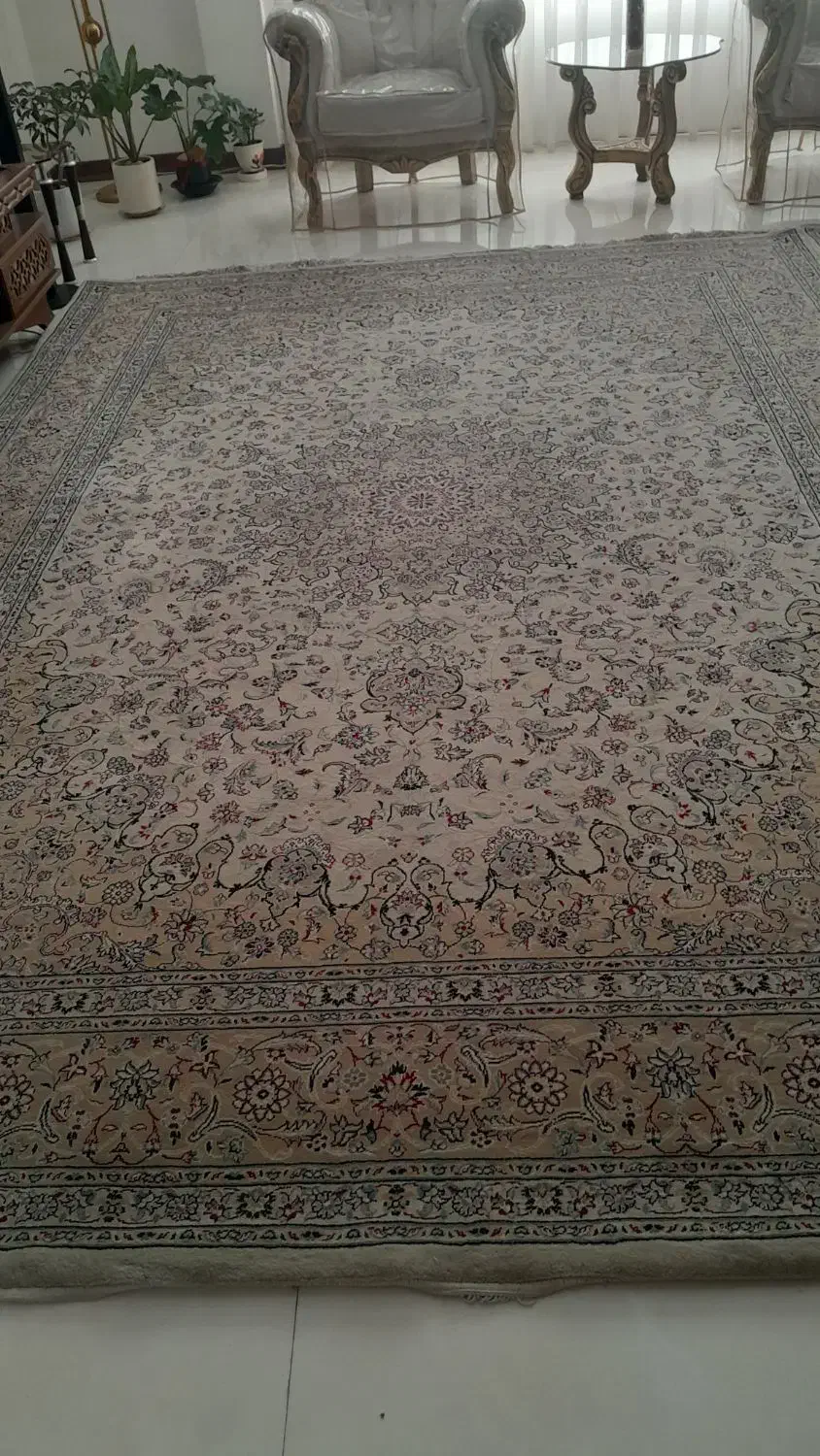 فرش ماشبنی|فرش|شاندیز, |دیوار