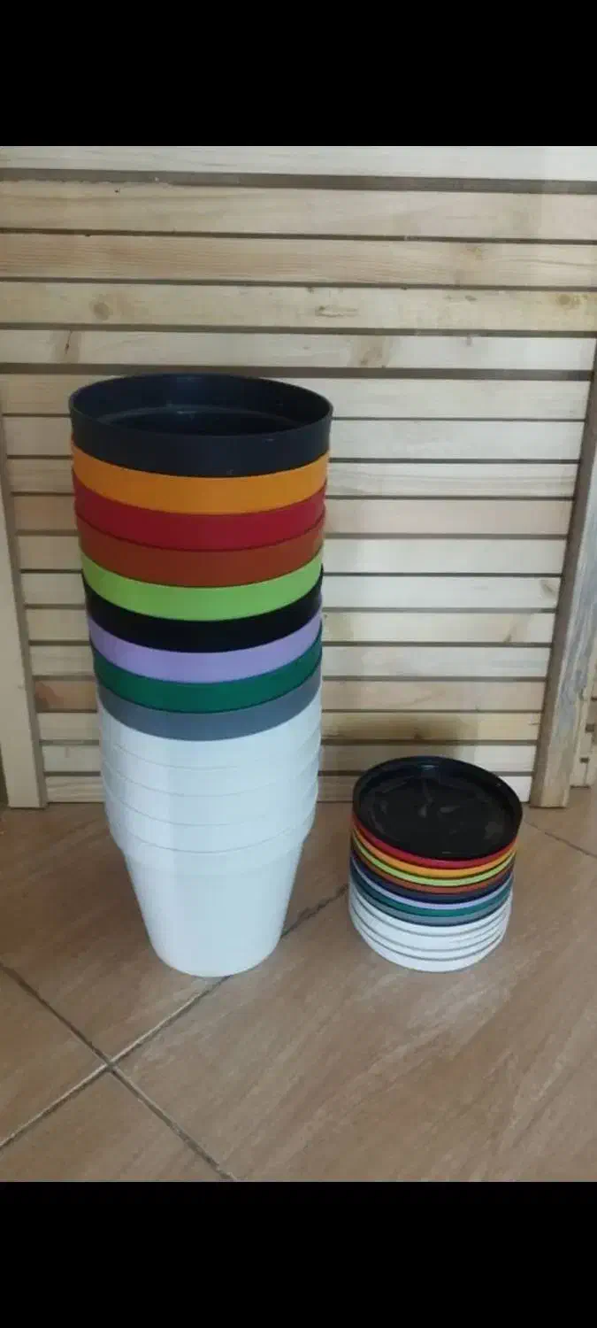 ۴۲ گلدان|گل و گیاه طبیعی|شیراز, شهرک گلدشت حافظ‎|دیوار