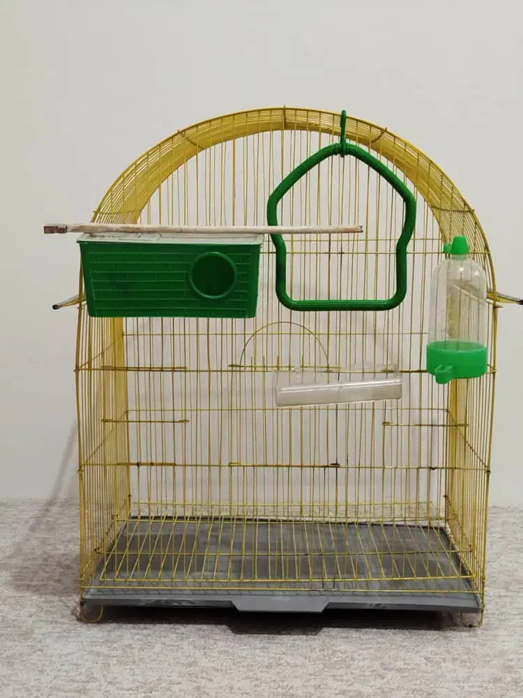 پرنده قفس بزرک|لوازم جانبی حیوانات|کردکوی, |دیوار