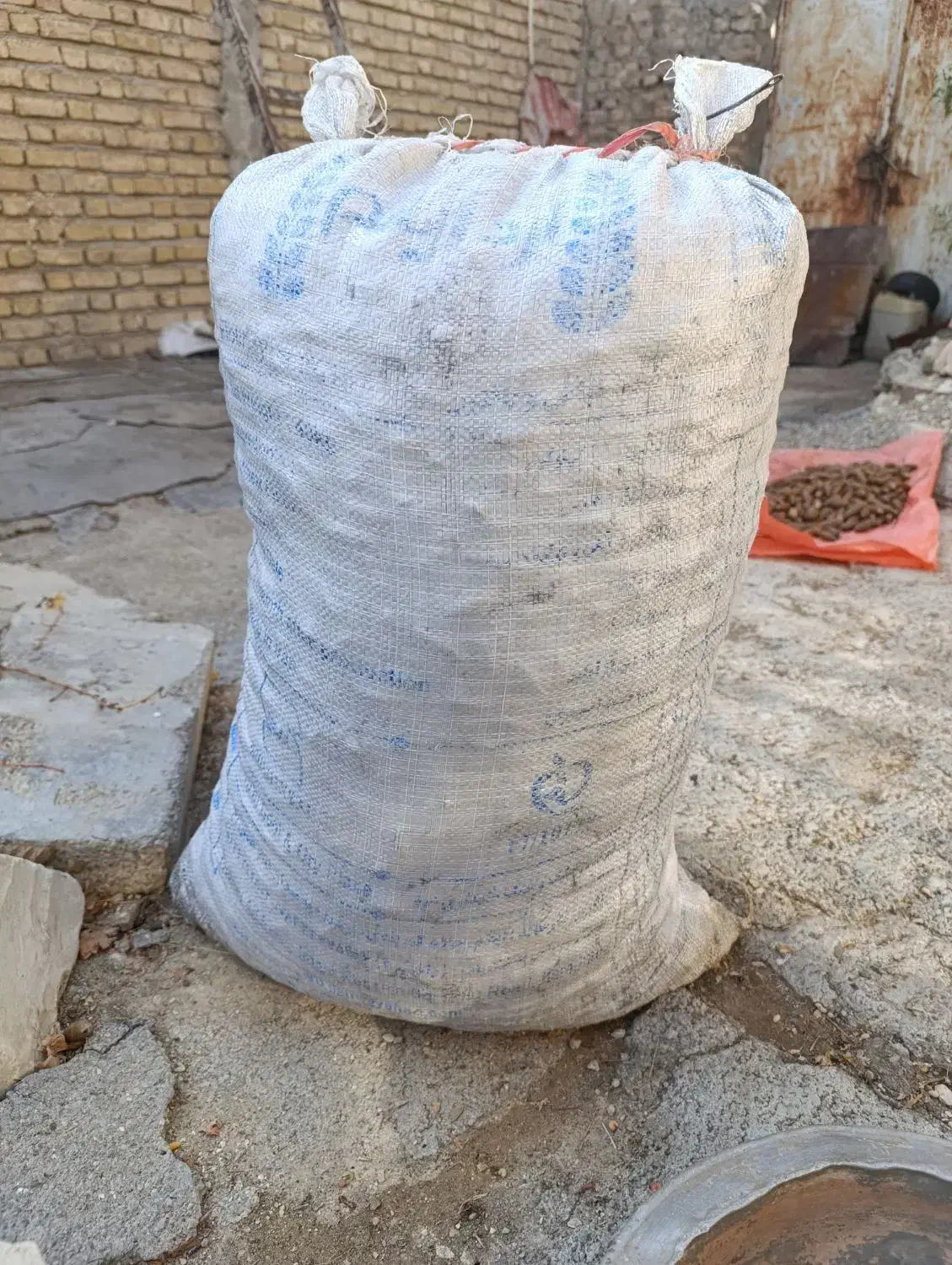 فروش بلوط، با پوست و بدون پوست|لوازم جانبی حیوانات|گچی, |دیوار