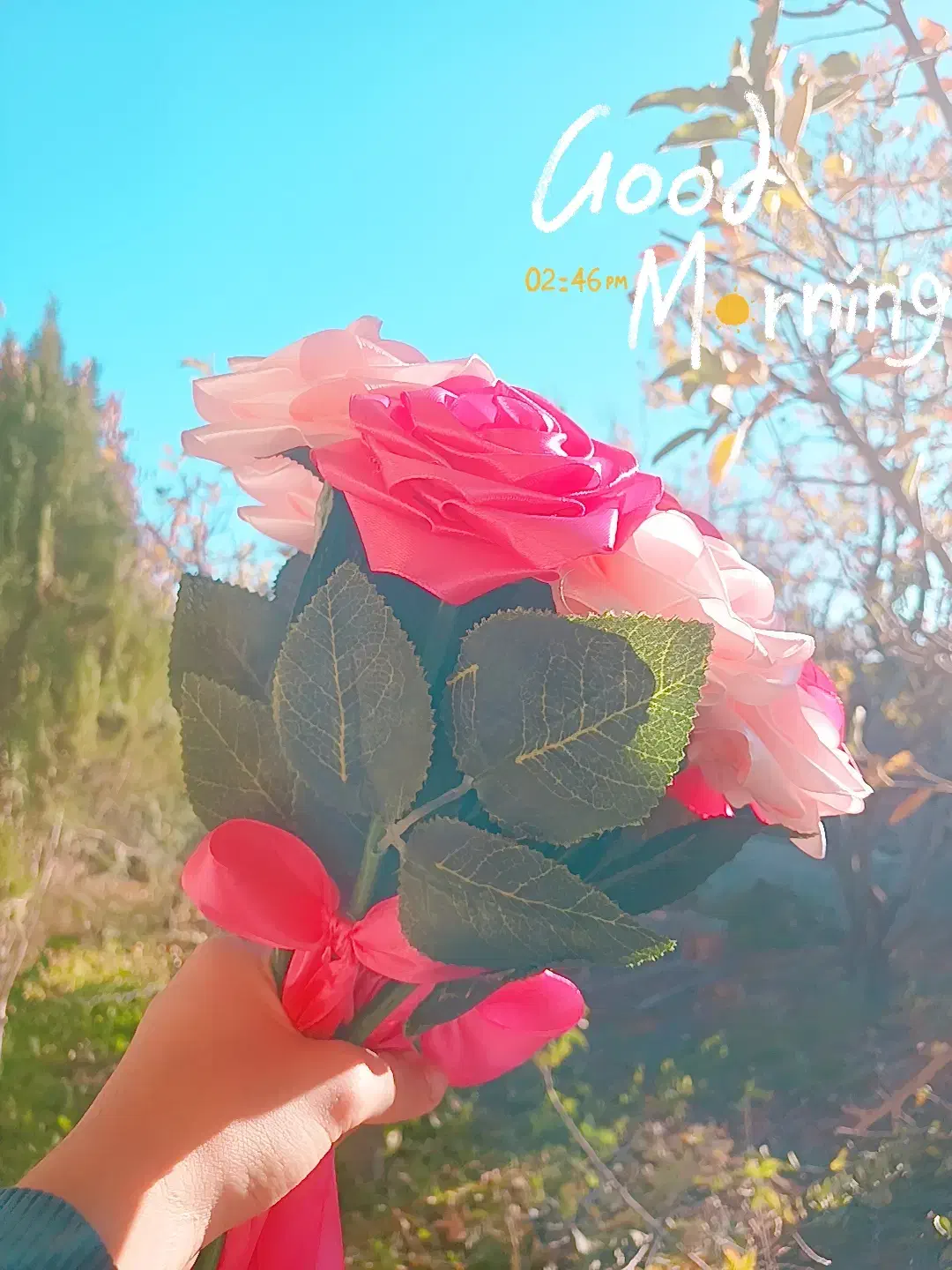 رز روبانی|گل مصنوعی|مشگین شهر, |دیوار