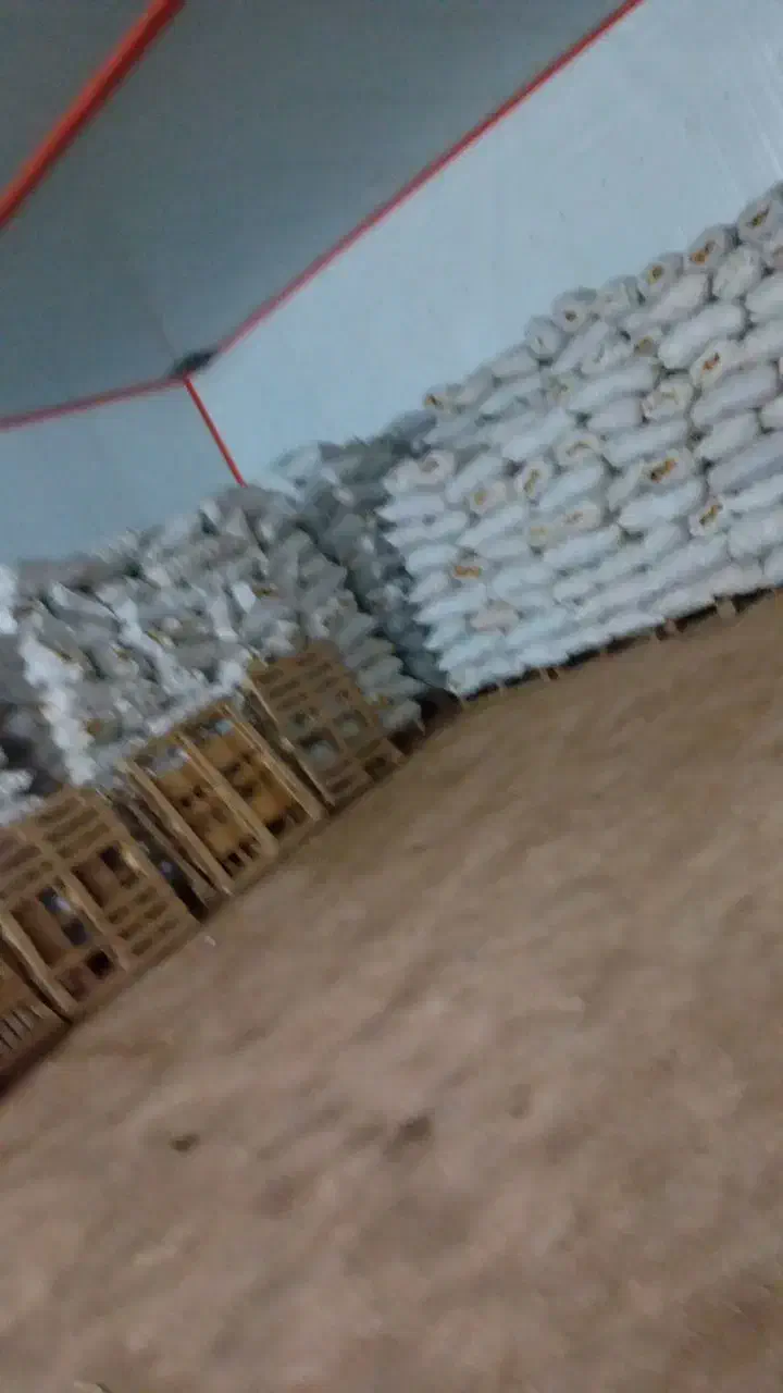 سیب زمینی|حراج|قروه, |دیوار