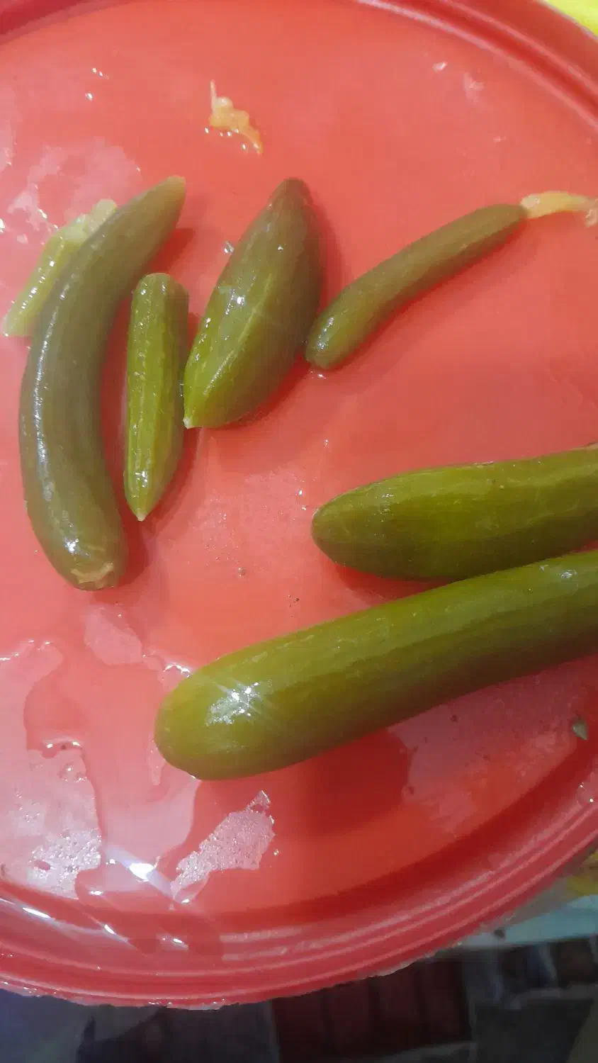 موادغذایی با کالابرگ تعاونی|خوردنی و آشامیدنی|بندر امام خمینی, |دیوار