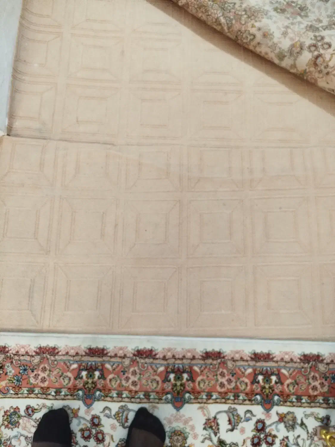 موکت سالم و تمیز|موکت|تبریز, |دیوار