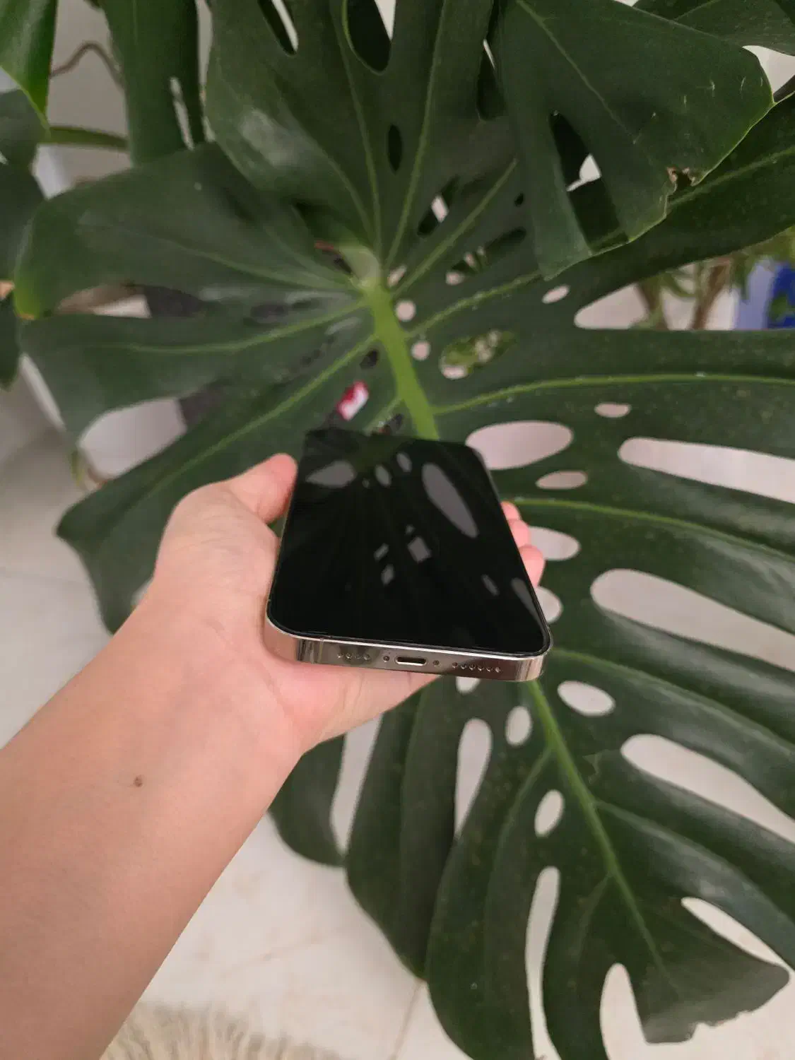 iphone 14 promax|موبایل|تبریز, |دیوار