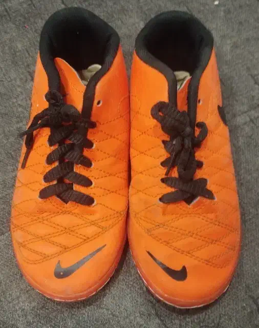 کفش سالنی|کیف، کفش، کمربند|اصفهان, حصه جنوبی|دیوار