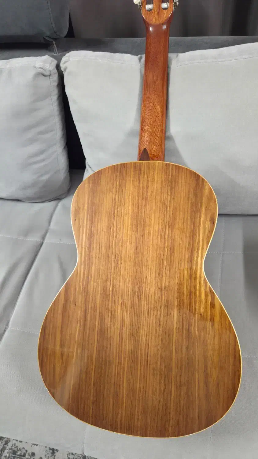 manuel rodriguez گیتار|گیتار، بیس، امپلیفایر|تهران, طرشت|دیوار