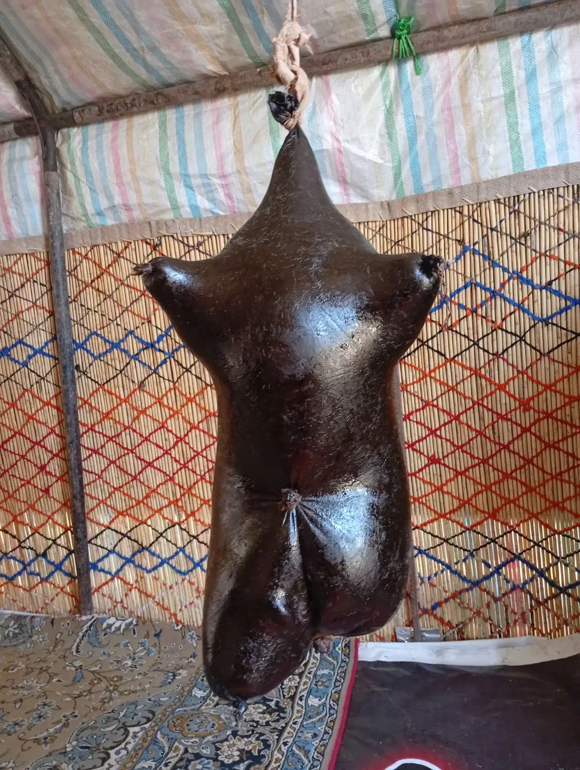 حیضه گوسفندی|خوردنی و آشامیدنی|ماهیدشت, |دیوار