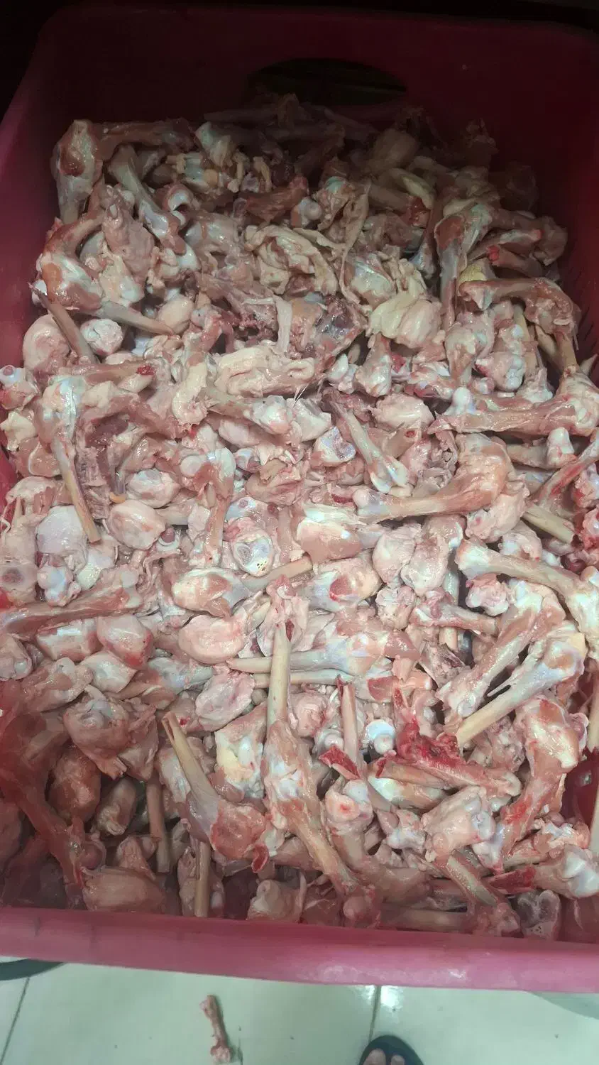 بچه فیله      اسکلت قلم کمر قفسه.      پا مرغ|عمدهفروشی|پردیس, شهرک صنعتی خرمدشت فاز ۷|دیوار