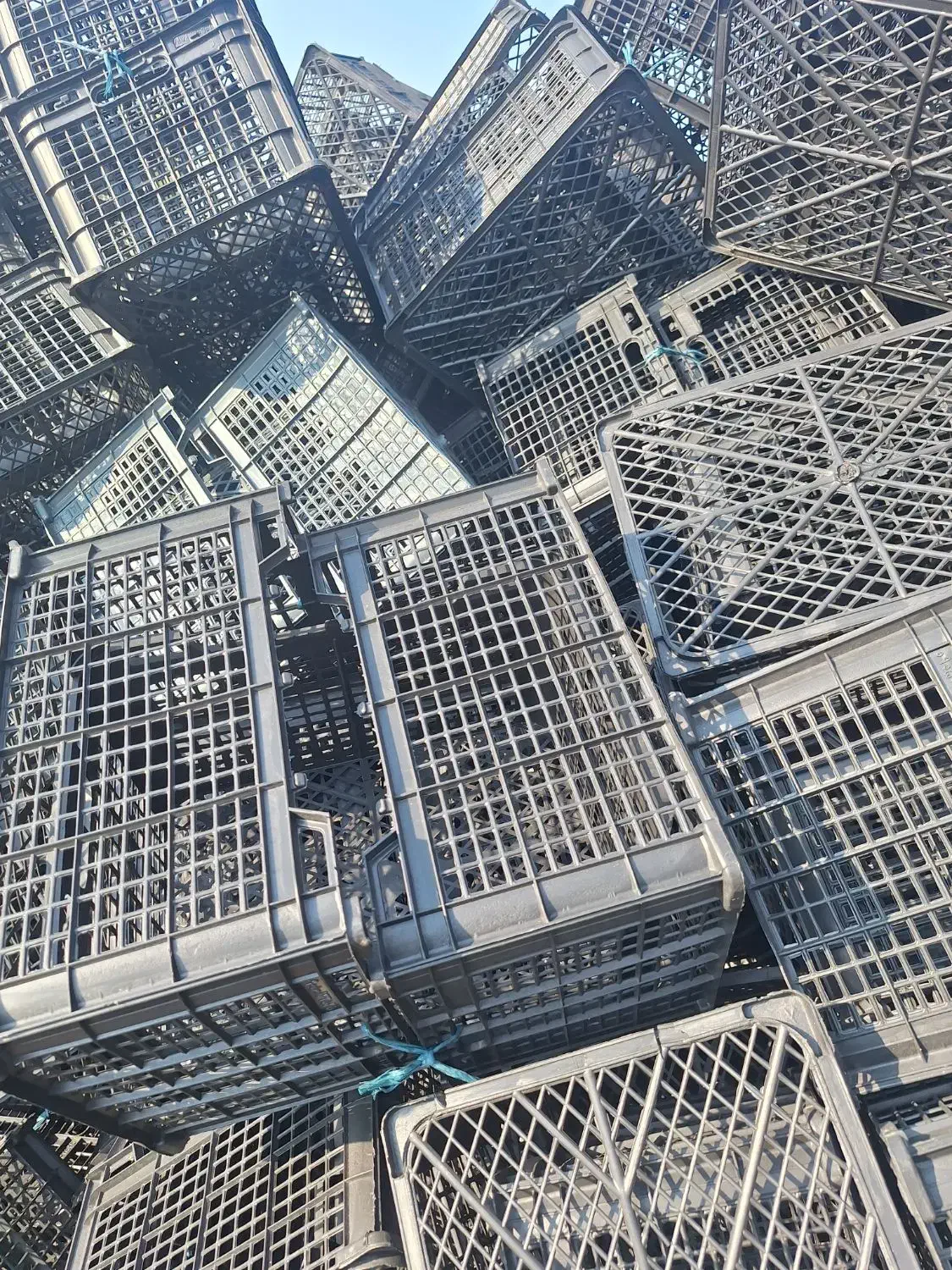 سبد درجه یک ۱۴ کیلویی|ظروف نگهدارنده، پلاستیکی، یکبارمصرف|شوشتر, |دیوار