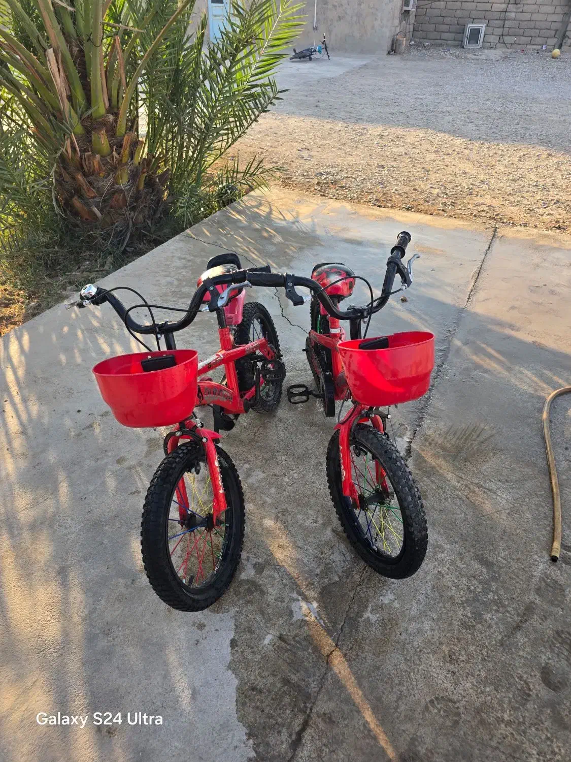 فروش دوچرخه|دوچرخه، اسکیت، اسکوتر|دیلم, |دیوار