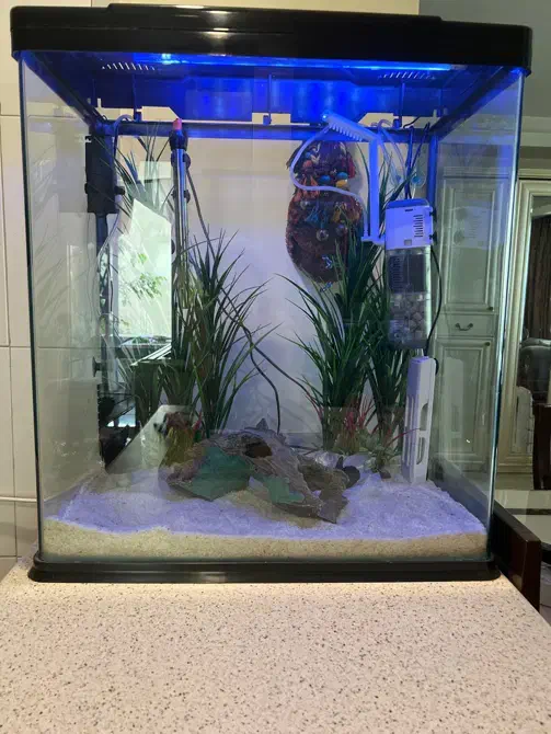 ست کامل آکواریوم با تجهیزات حرفهای|ماهی|تهران, قیطریه|دیوار