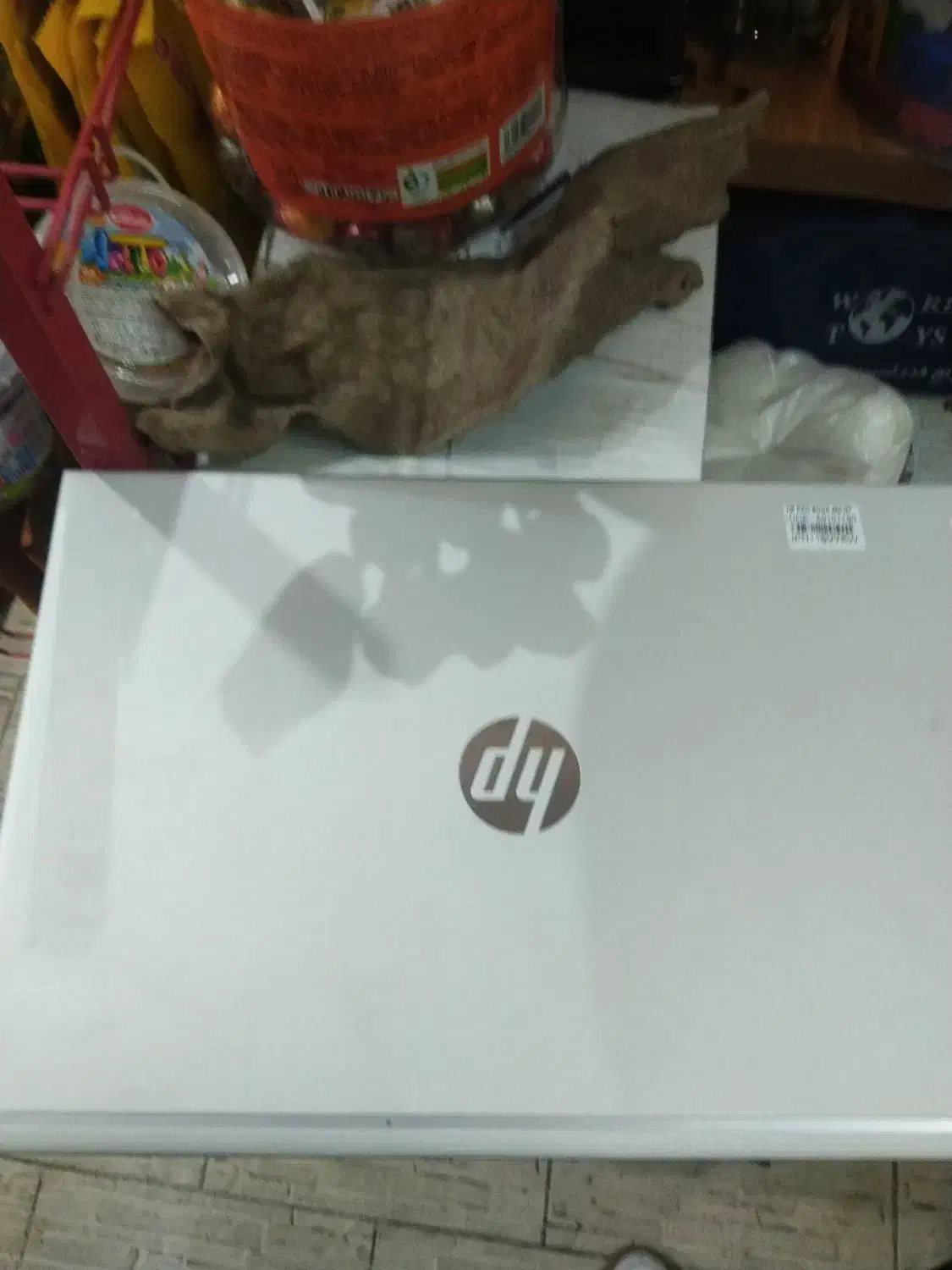 لپتاپ HP probook 450 G7|رایانه همراه|خواف, |دیوار