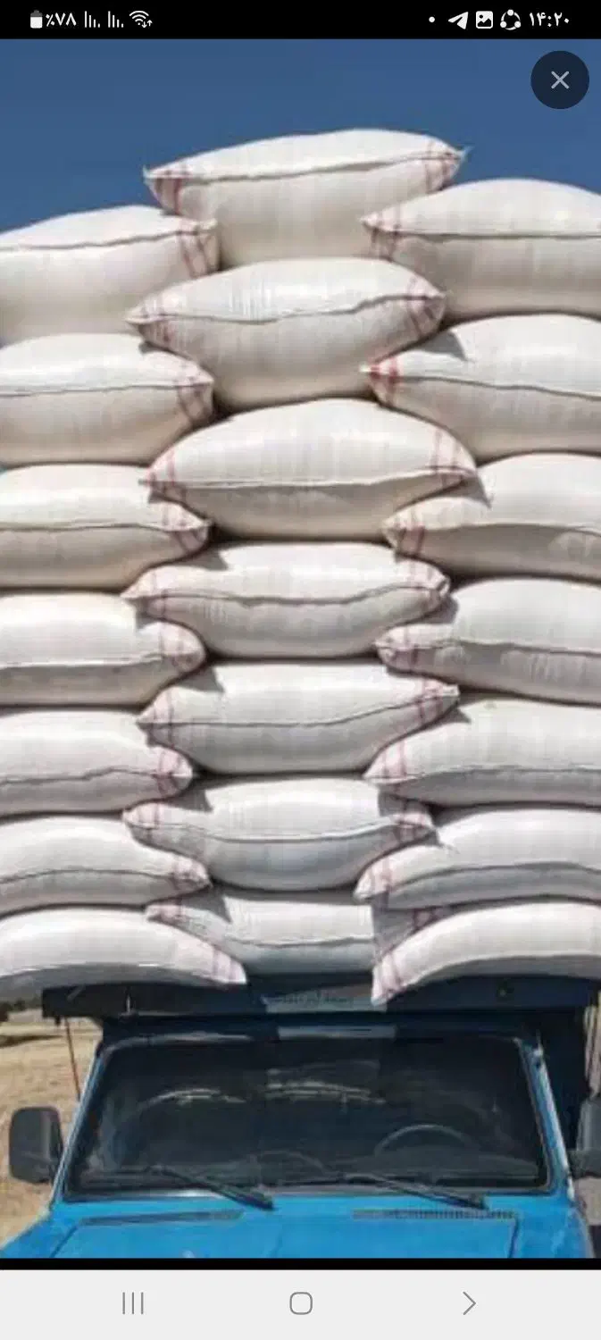 کاه گندم فروشی|لوازم جانبی حیوانات|گلپایگان, |دیوار