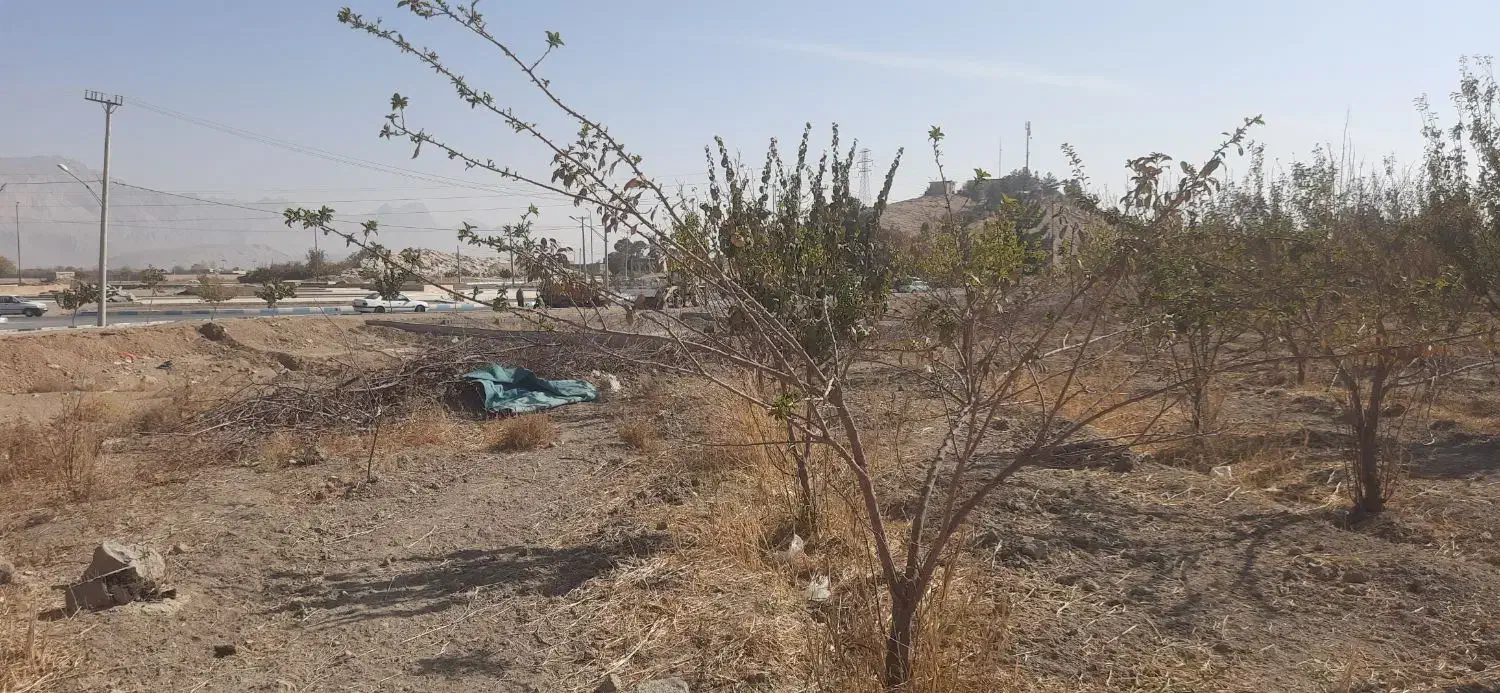 فروش زمین کشاورزی ورودی اصلی شهر۵۵۰متر|فروش زمین و ملک کلنگی|پیر بکران, |دیوار