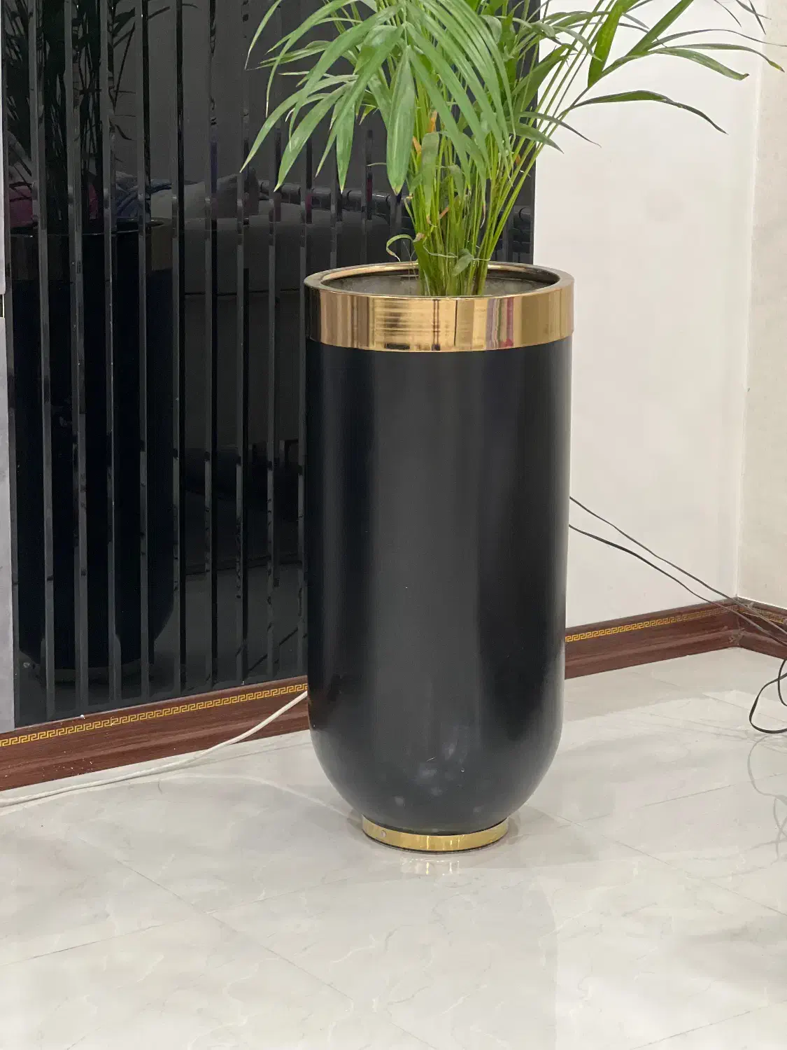 گلدان|گل و گیاه طبیعی|تهران, خزانه|دیوار