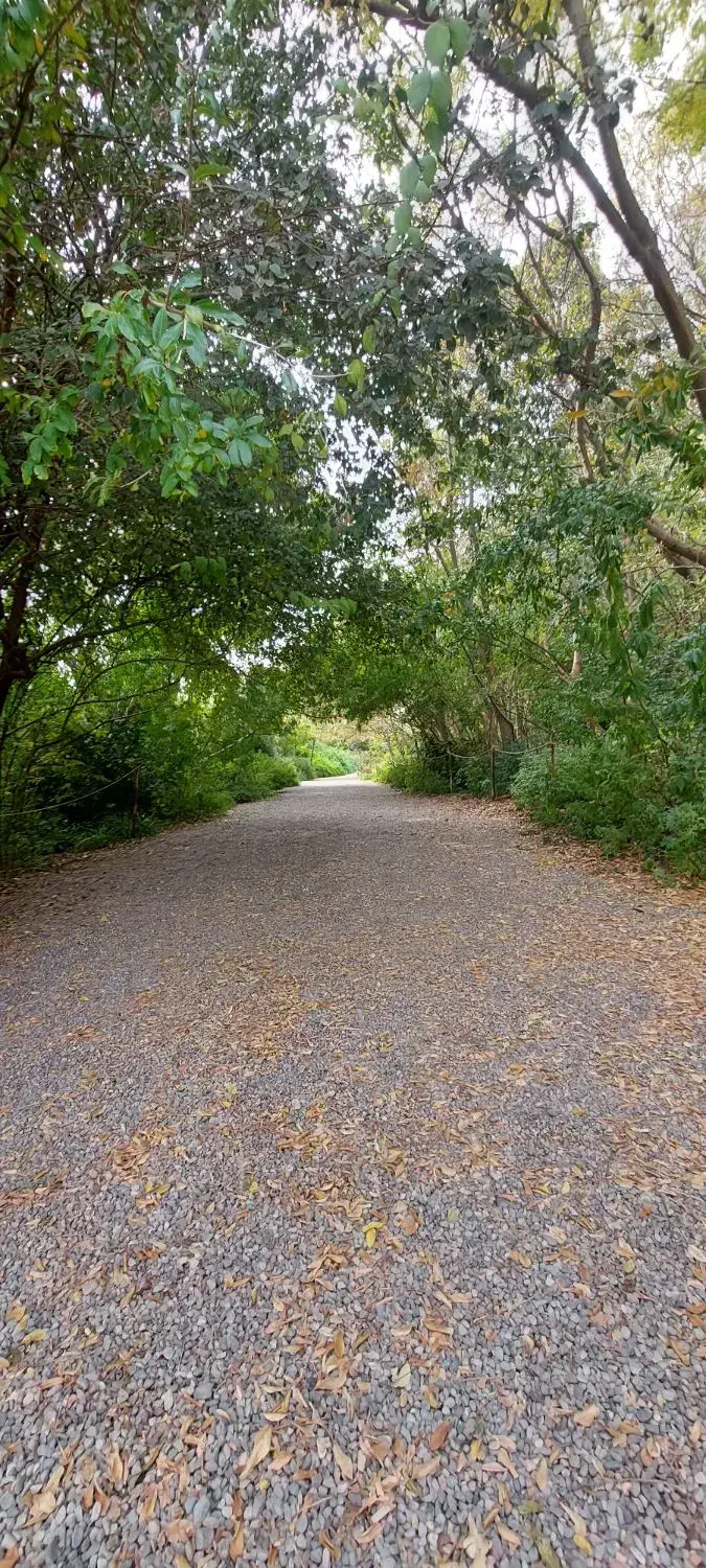 خط تلفن ثابت|تلفن رومیزی|مشکین‌دشت, |دیوار