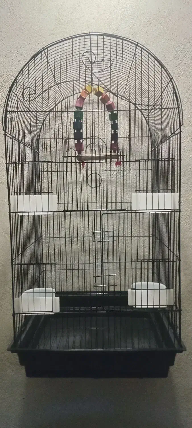 قفس پرندگان|لوازم جانبی حیوانات|بهشهر, |دیوار