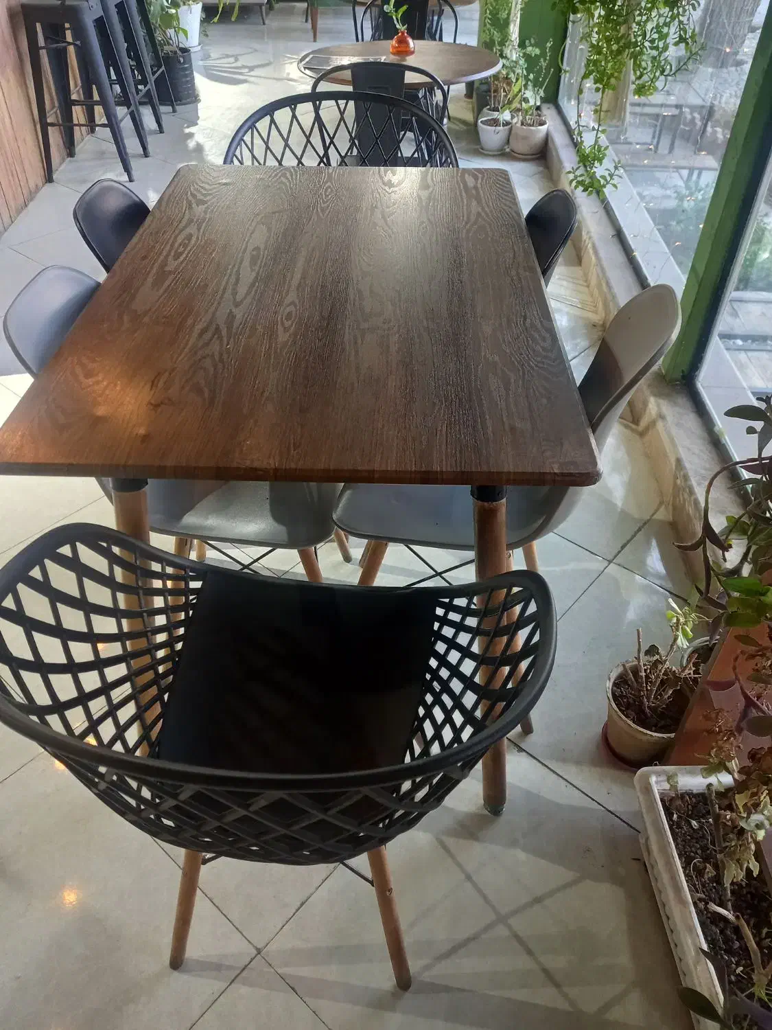 میزو صندلی ۶نفره|میز و صندلی غذاخوری|تفرش, |دیوار