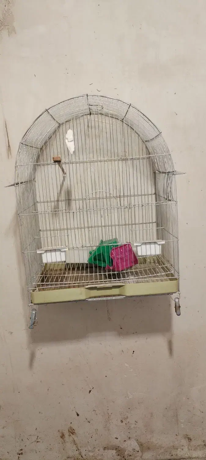 قفس پرندگان تکمیل|لوازم جانبی حیوانات|بوکان, |دیوار