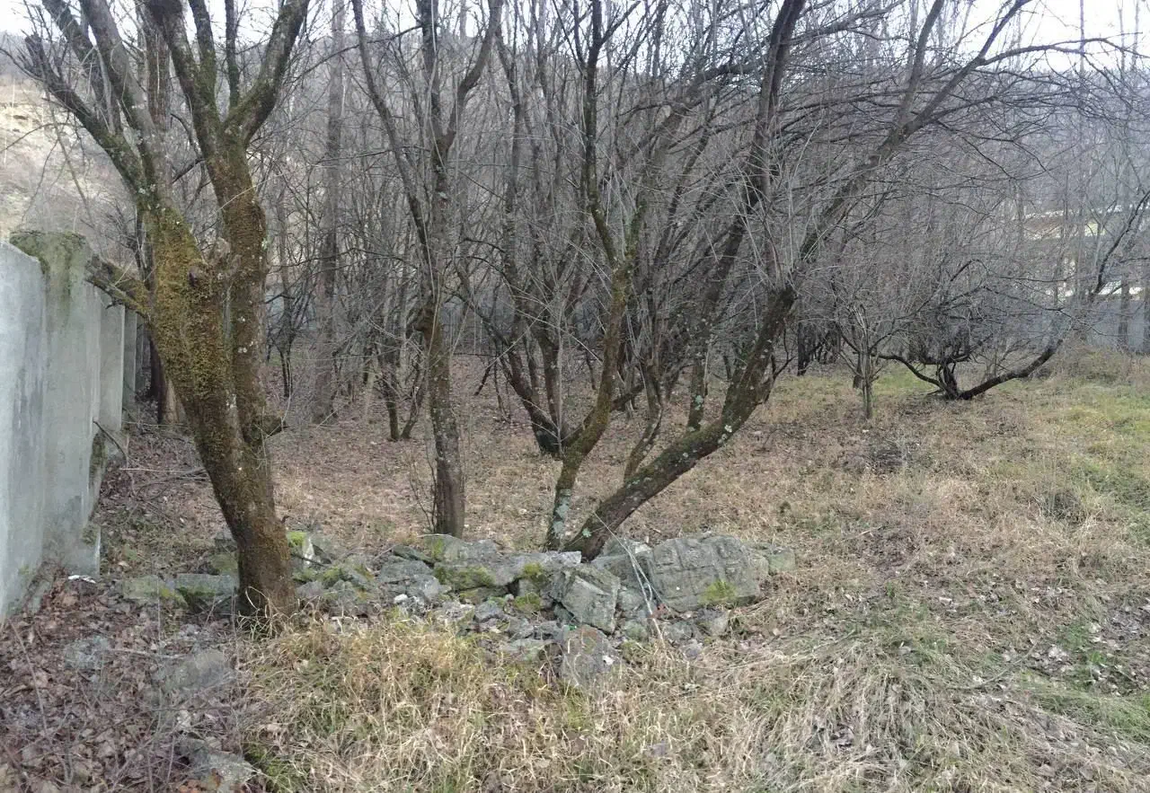 فروش زمین محصور|فروش زمین و ملک کلنگی|آستارا, |دیوار