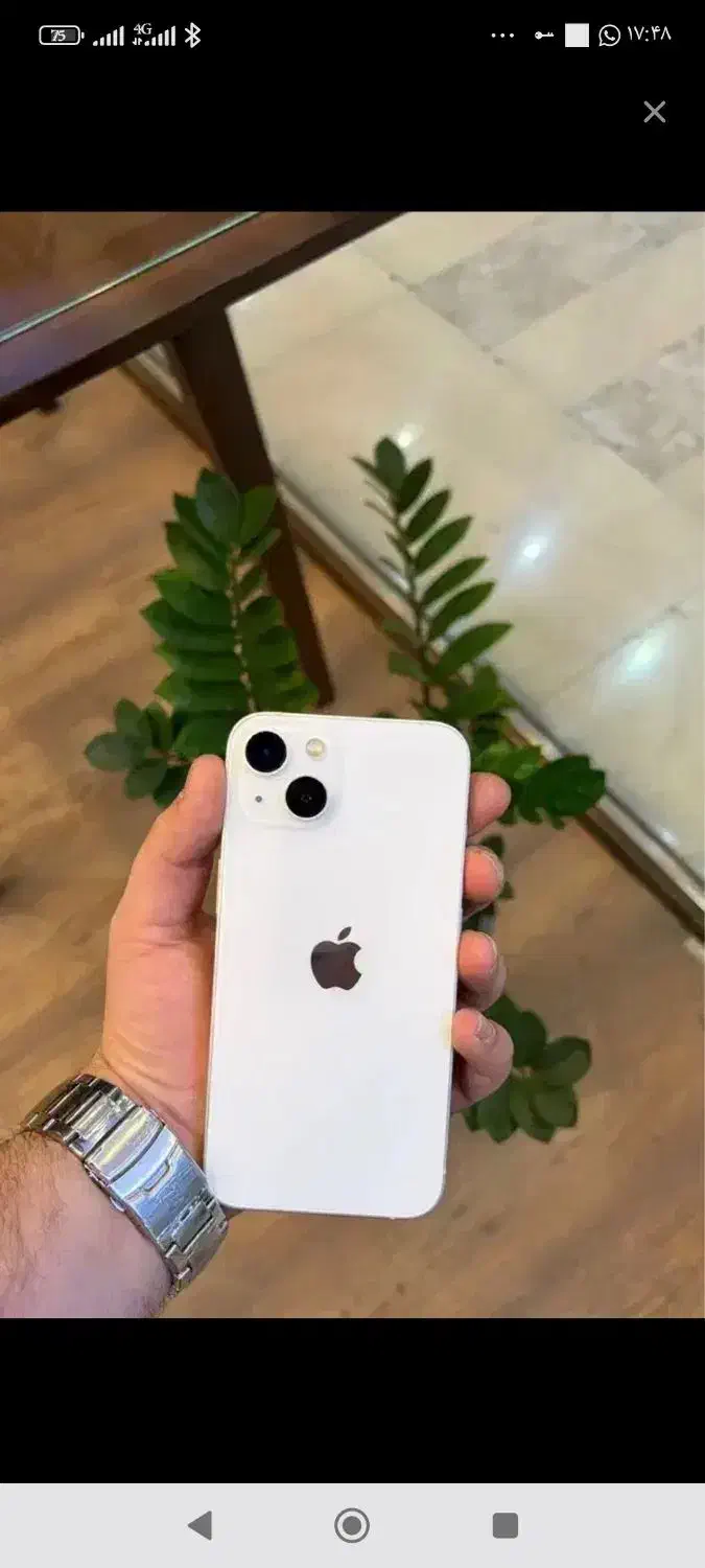 آیفون 13|موبایل|بیرجند, |دیوار