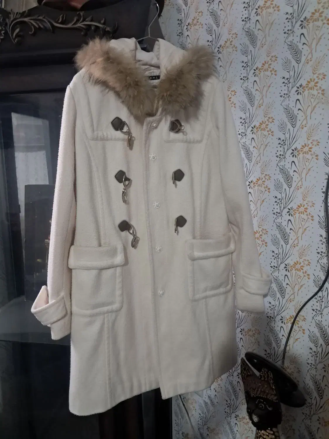 پالتو سالم|لباس|گلبهار, شهر جدید گلبهار|دیوار