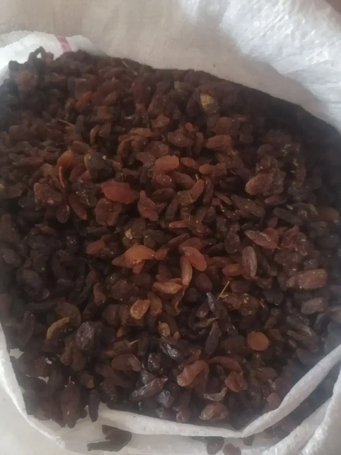 کشمش گله|خوردنی و آشامیدنی|نیشابور, خط کاشمر|دیوار