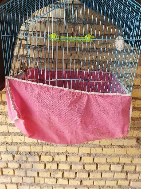 پارچه|رختخواب، بالش، پتو|دهلران, |دیوار